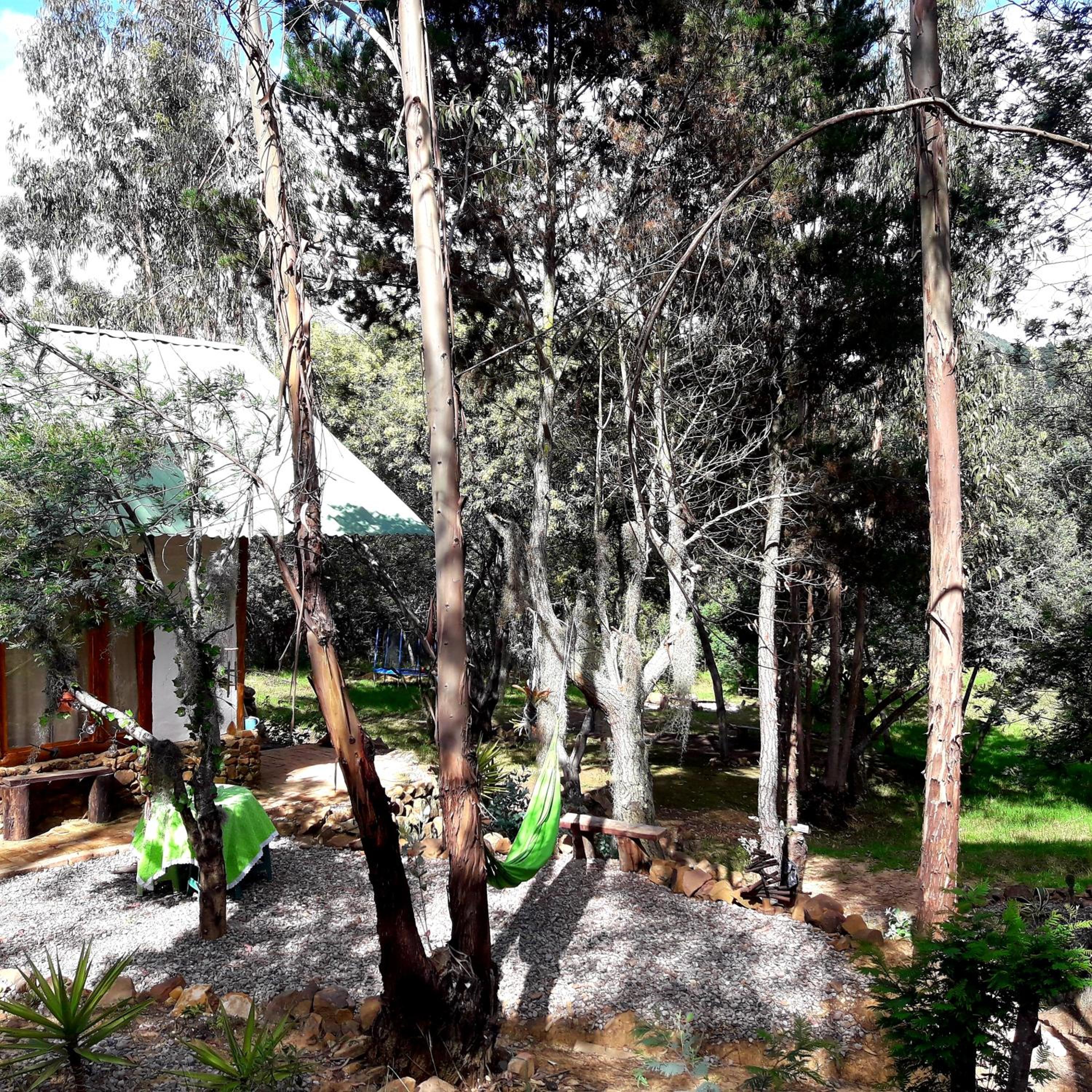 CABAÑA MÁGICA CUCUNUBA