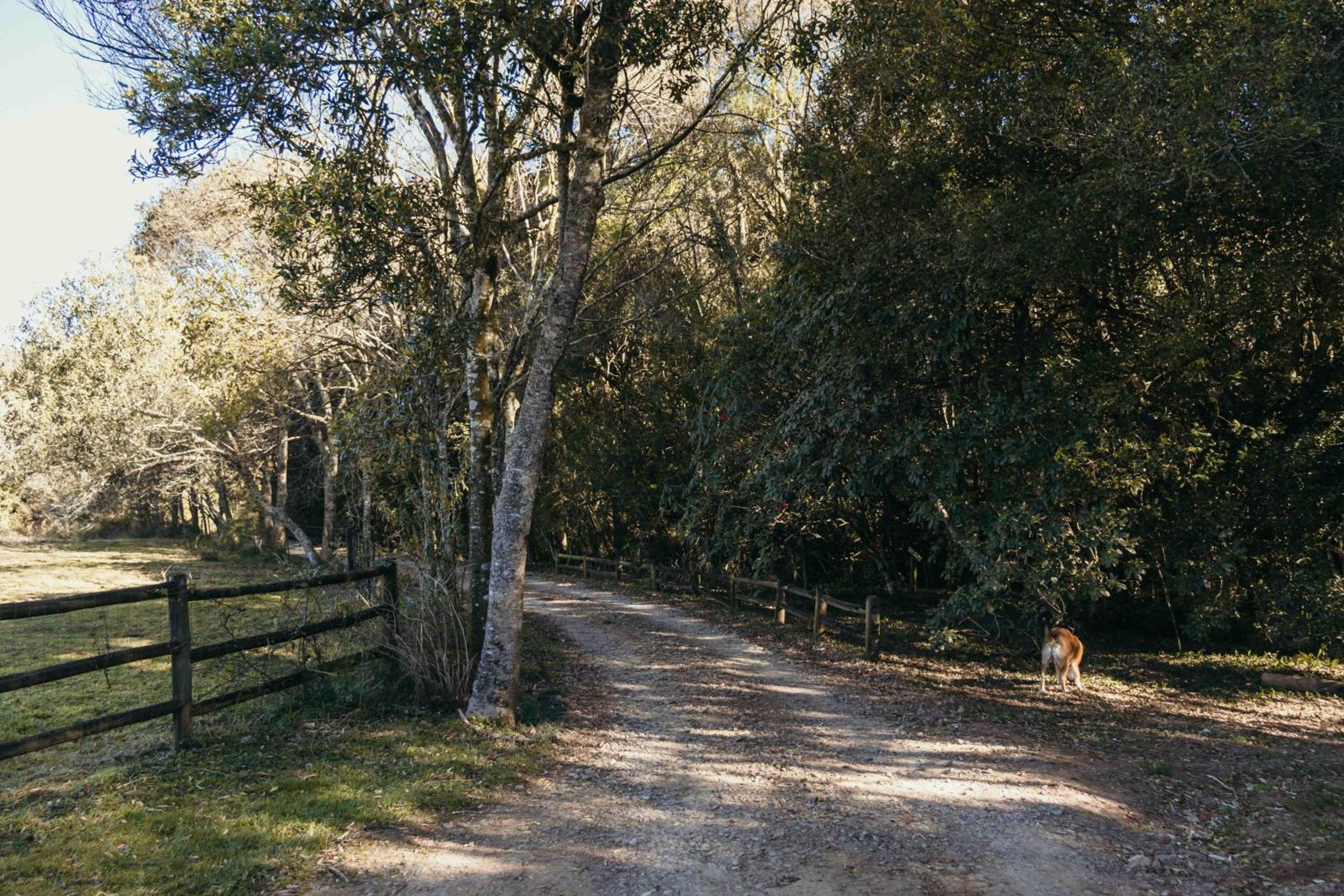 Milestone Farm House