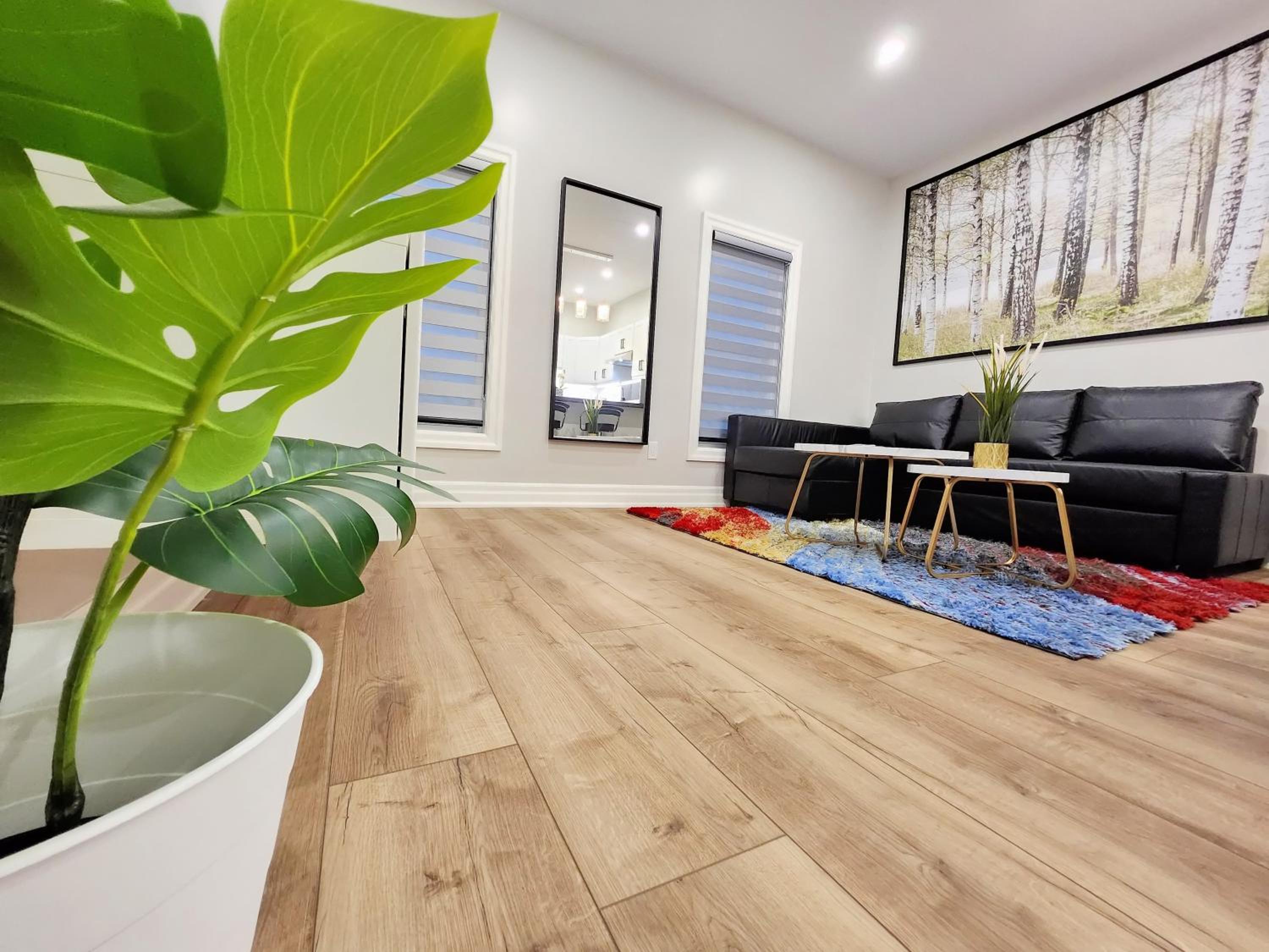 The Zen Escape Modern Queen Size One Bedroom Full Apartment