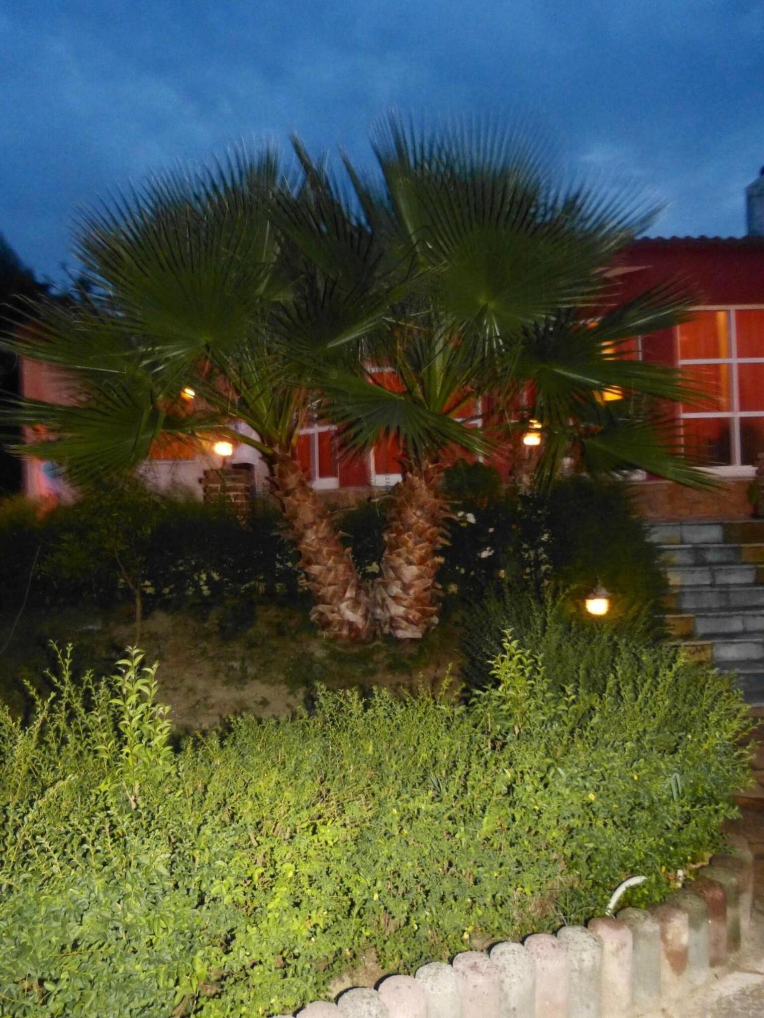 Berat VILLA Kapxhiu Poshnje