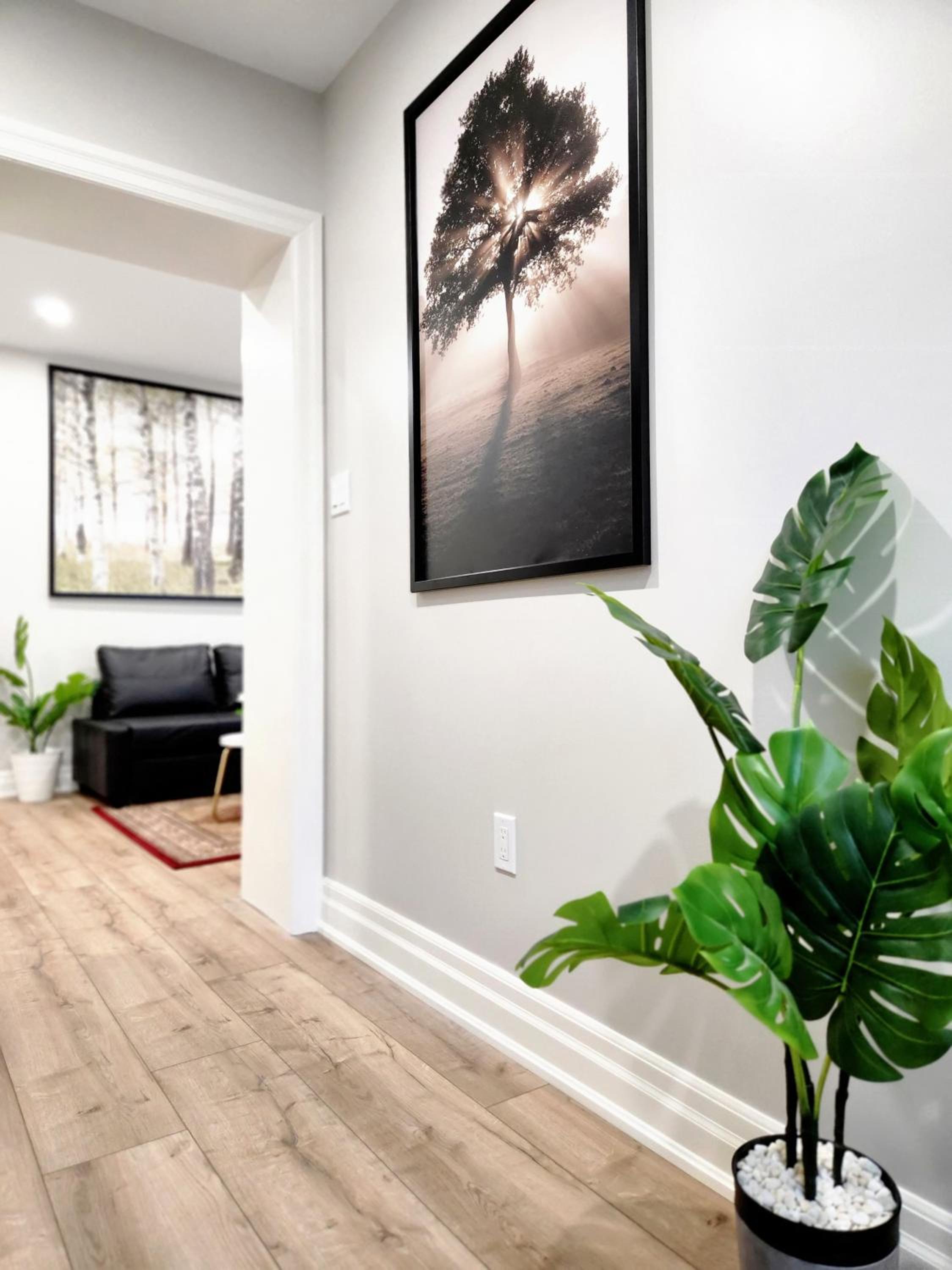 The Zen Escape Modern Queen Size One Bedroom Full Apartment