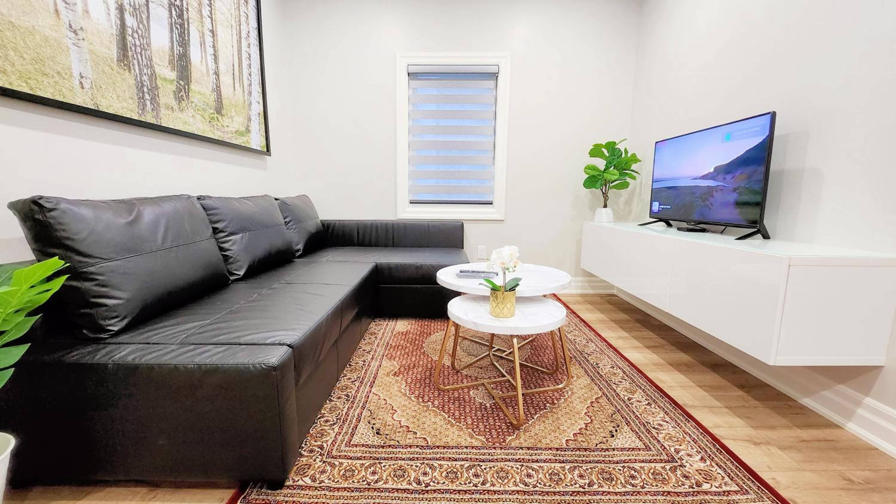 The Zen Escape Modern Queen Size One Bedroom Full Apartment