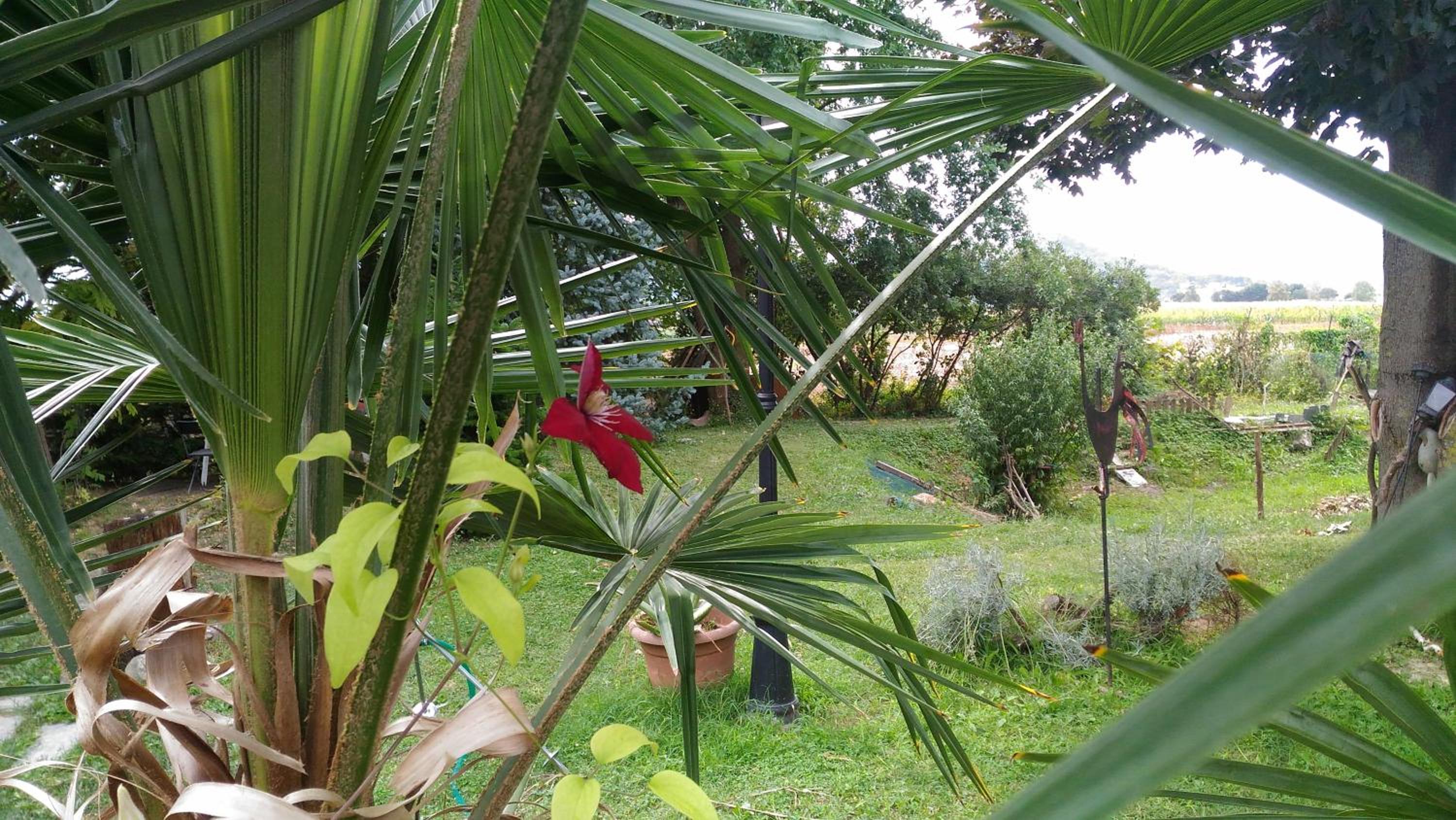 Photo 48