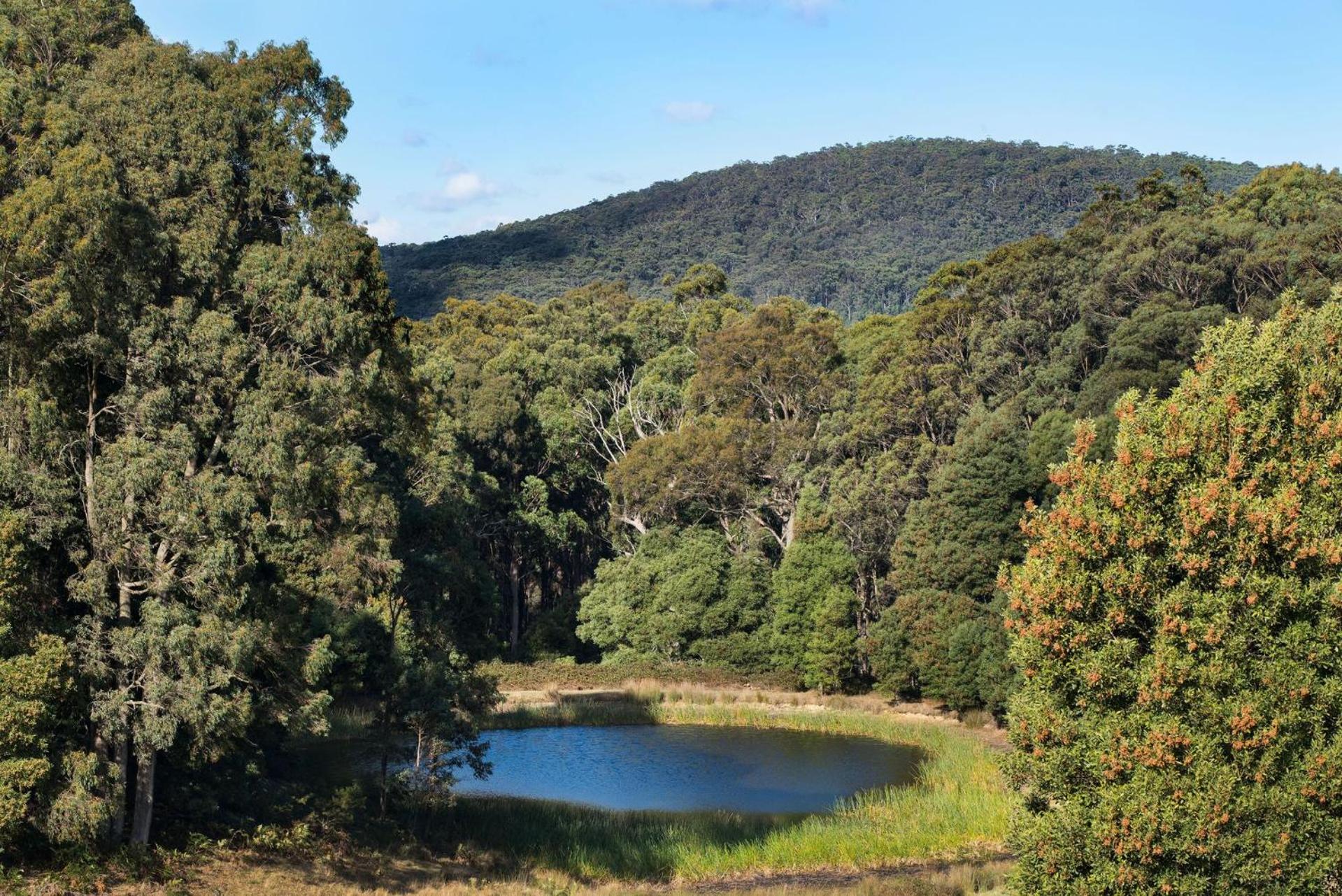 Three Paddocks
