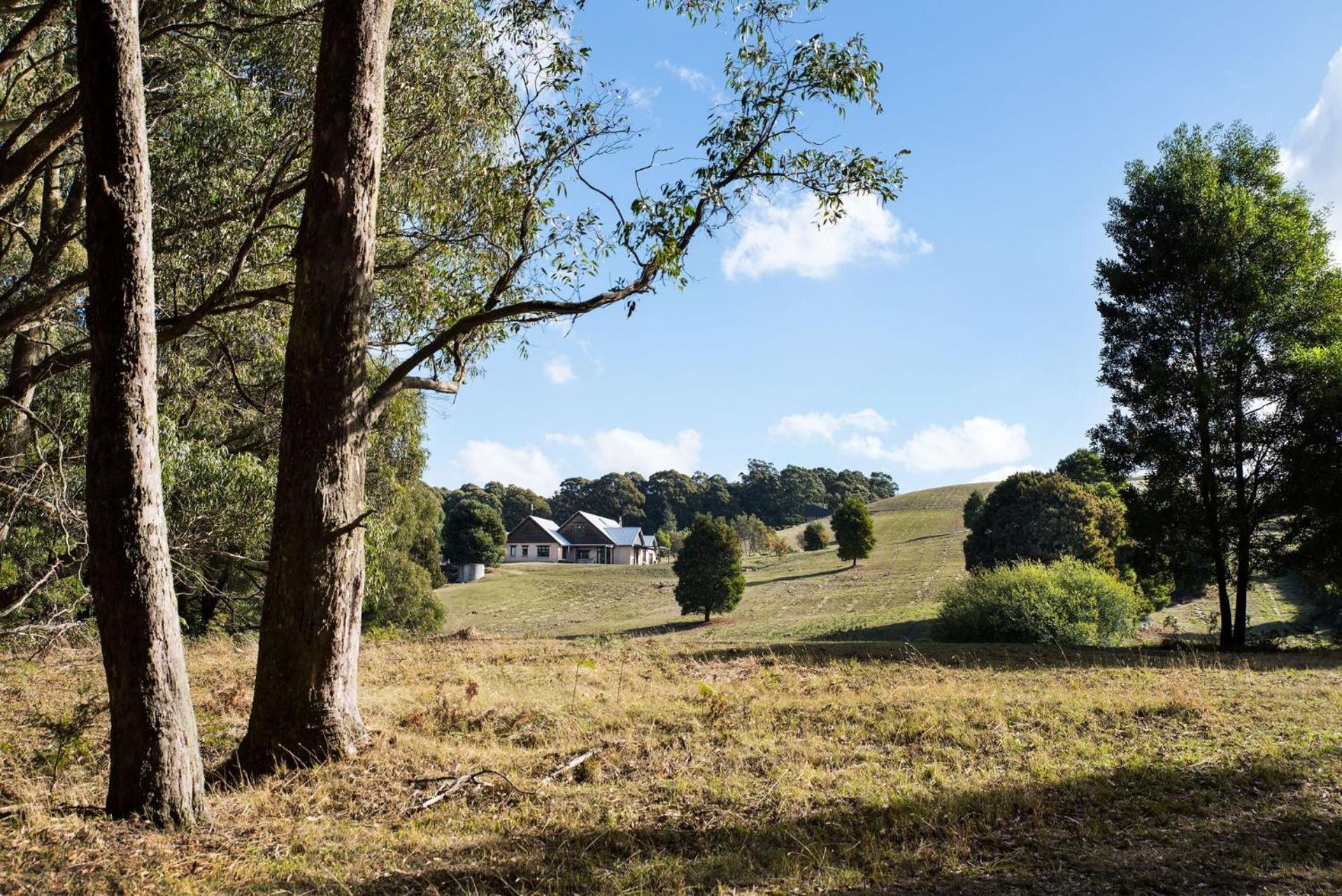 Three Paddocks