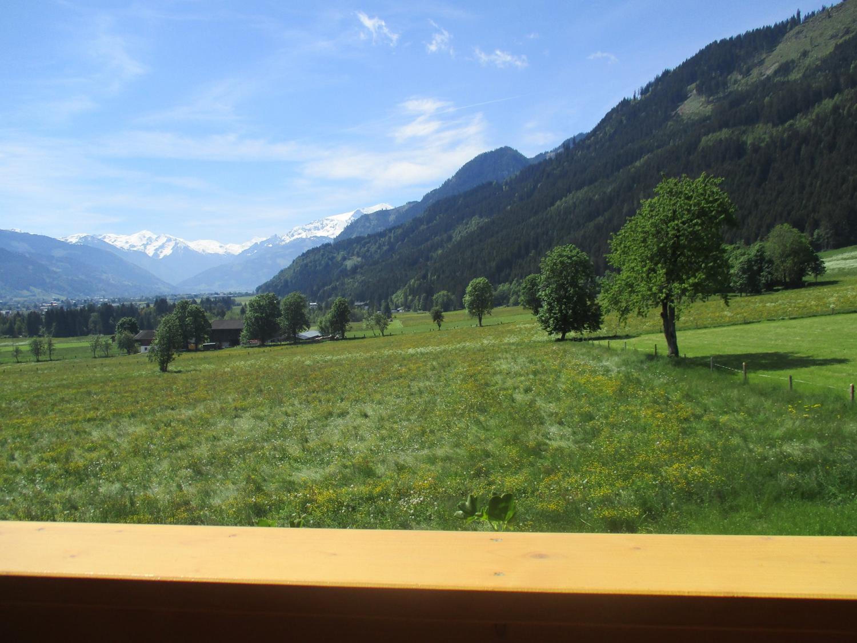 Penthousewohnung mit Garten Sauna Pool