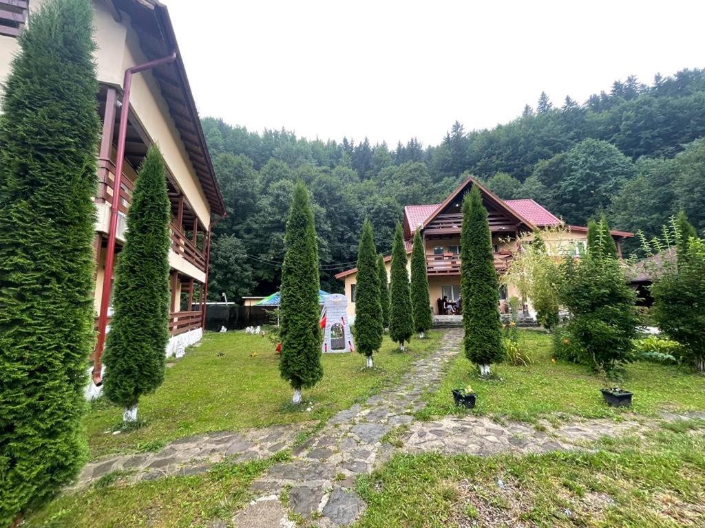 Pensiunea La Padure Cheia, Prahova view 2