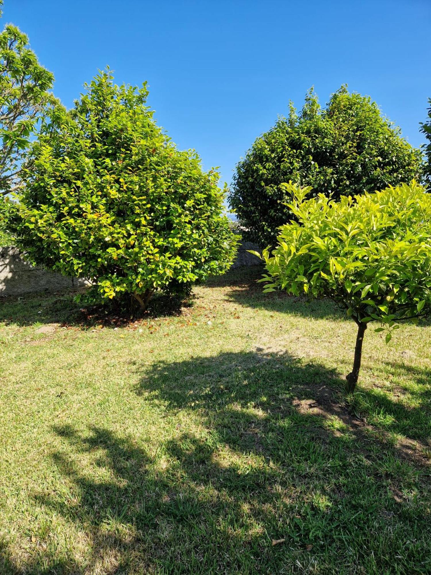 Casa Suricato