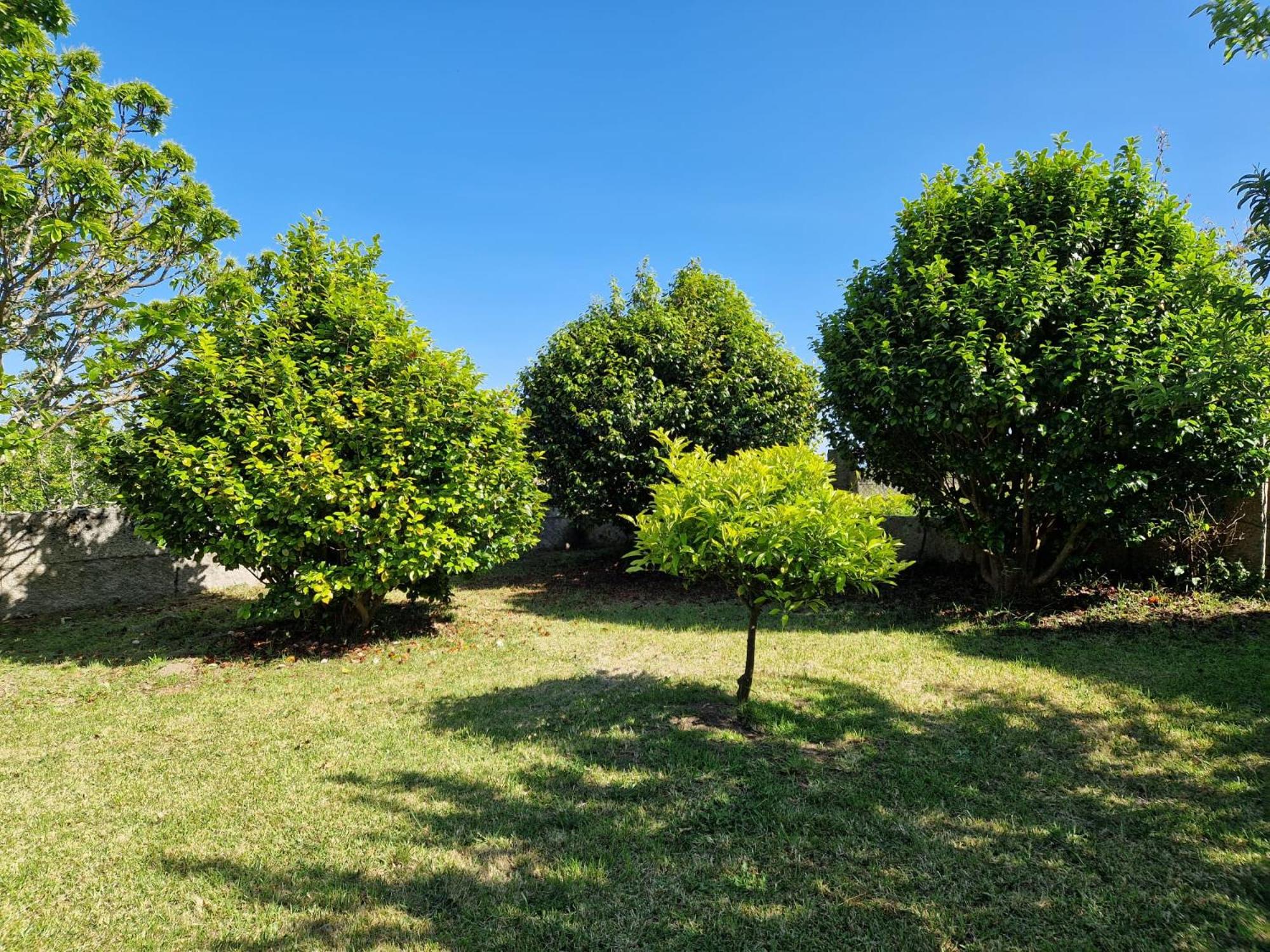 Casa Suricato