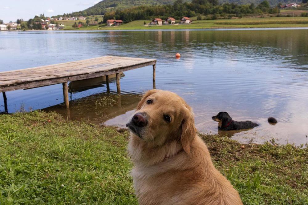 Kuća za odmor Jezero photo 4