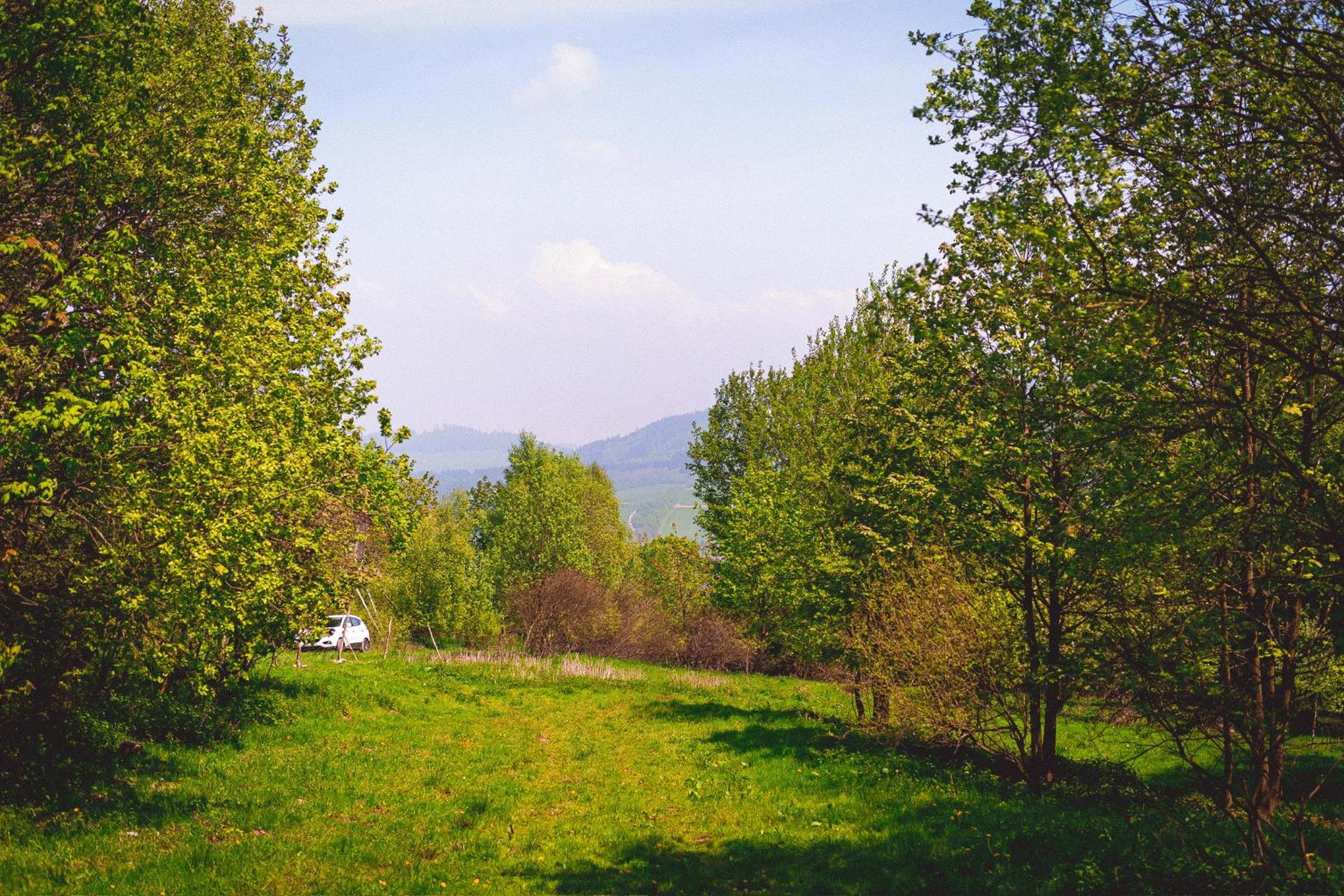 Maringotka V mechu a kapradí s koupacím čanem