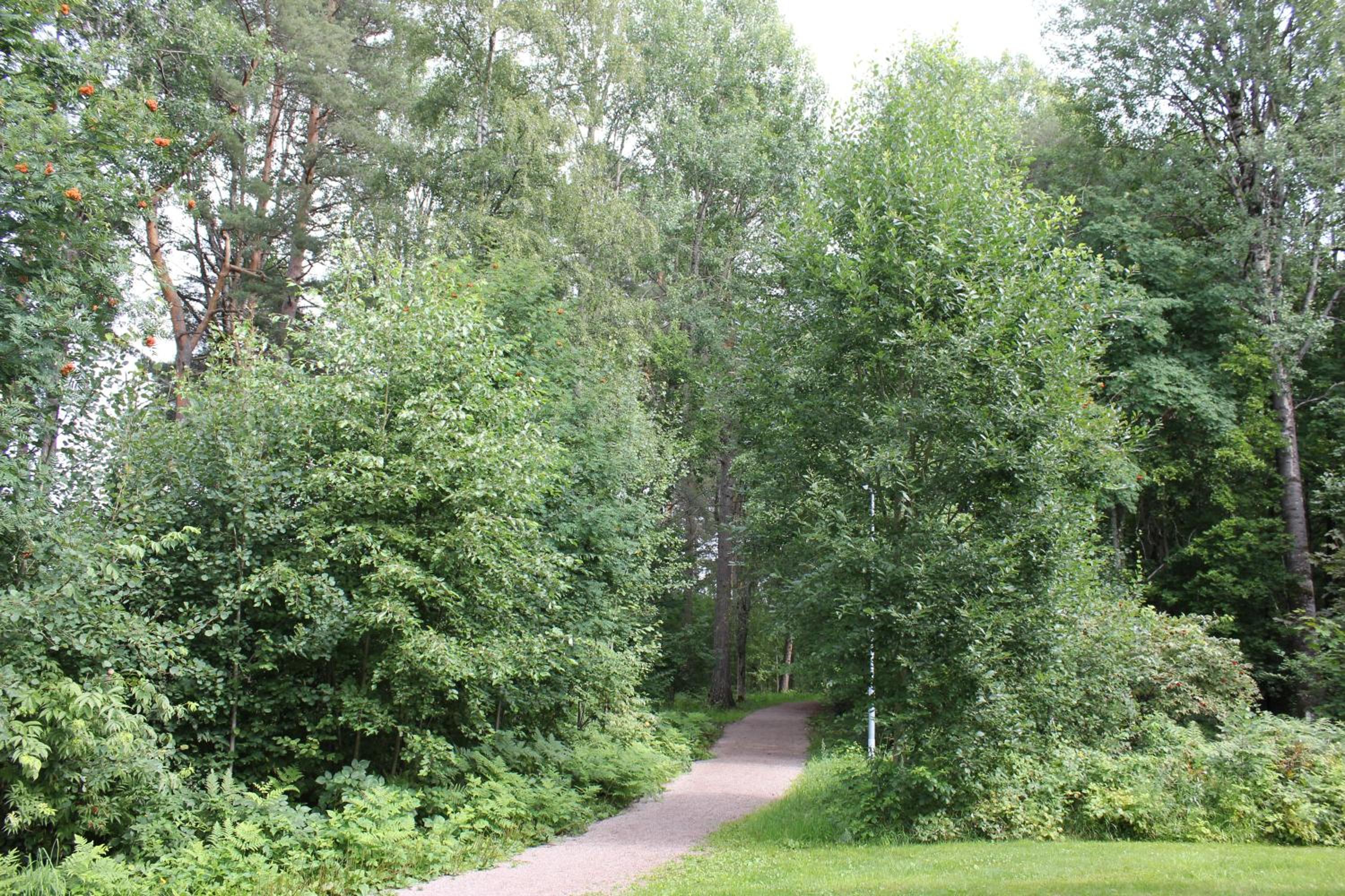 Leksands Folkhögskola view 5