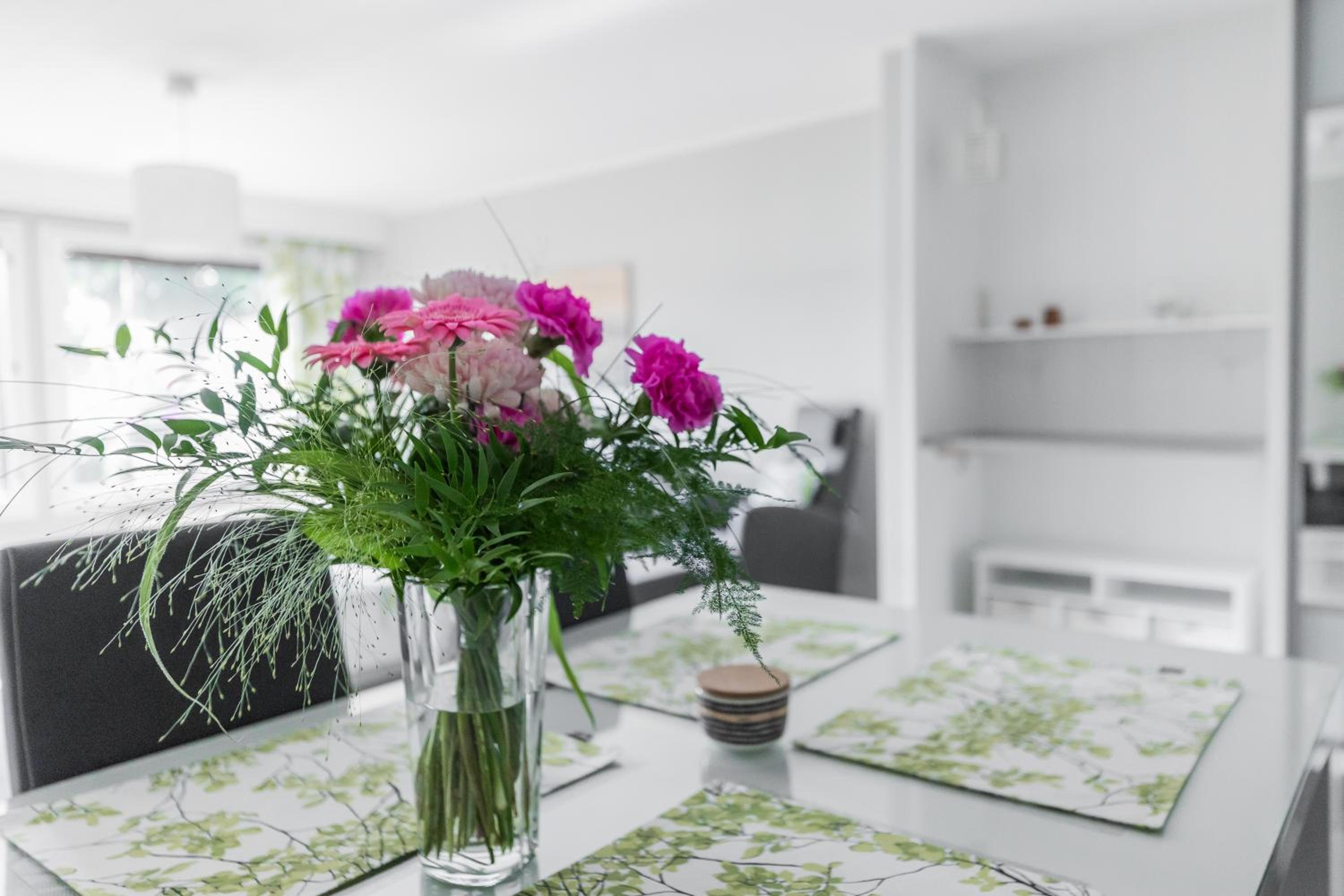 Salvoskuja Apartment