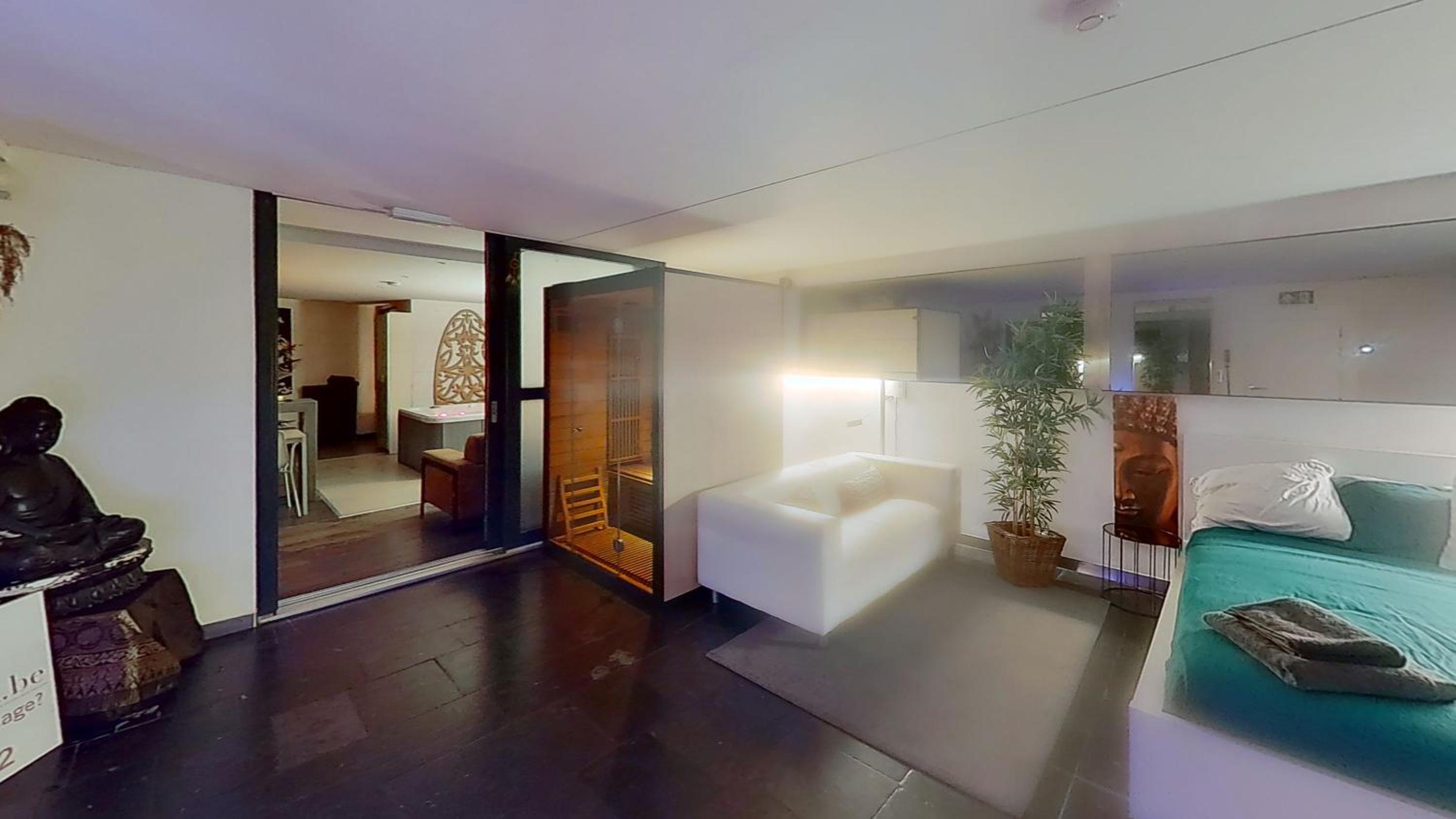 Hotel nice and cosy place with jacuzzi and sauna to relax in the centre of antwerp - Image 1