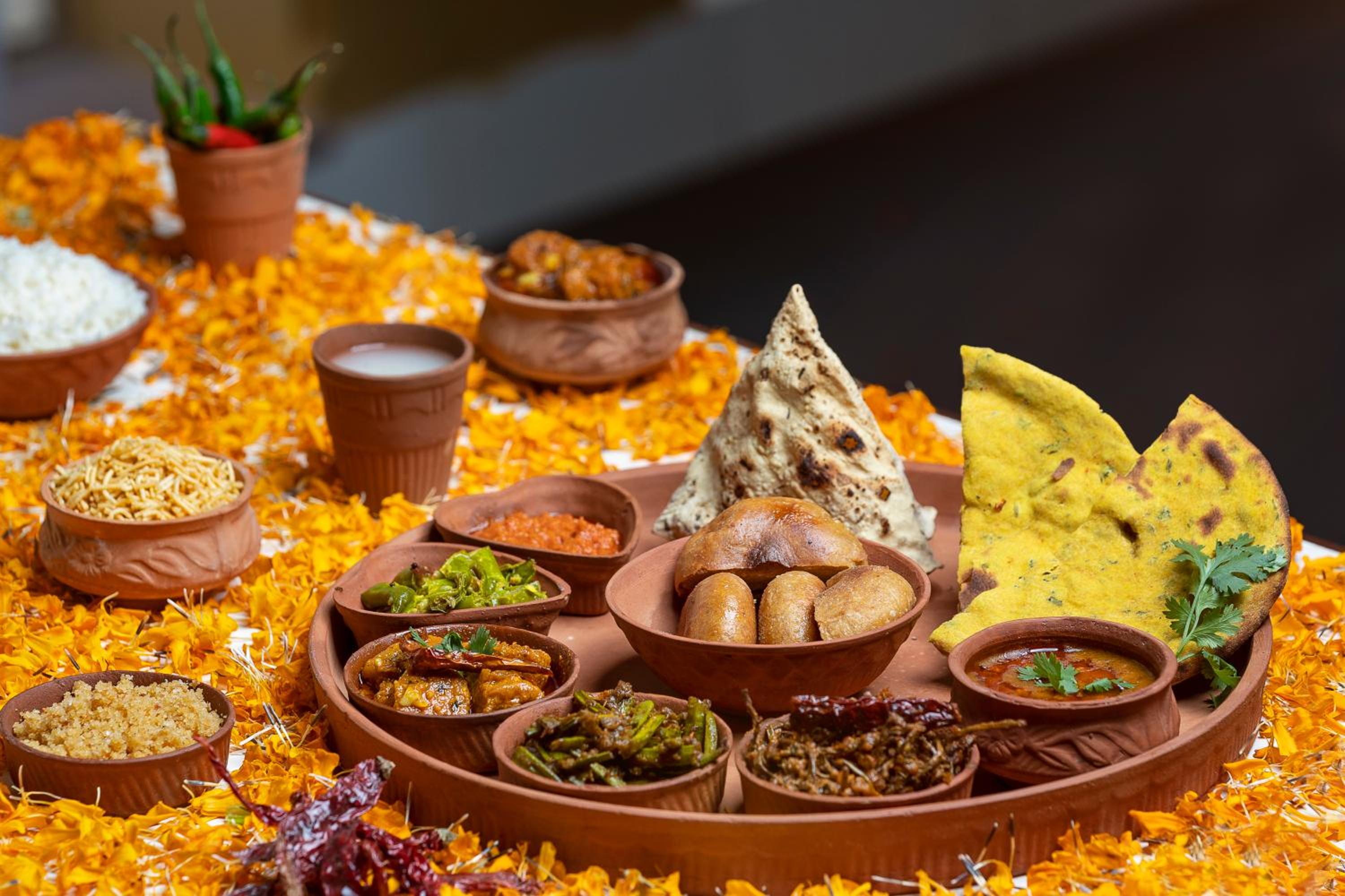 Bikaner Vacations - Gaj Kesri, Bikaner - Property Image 5