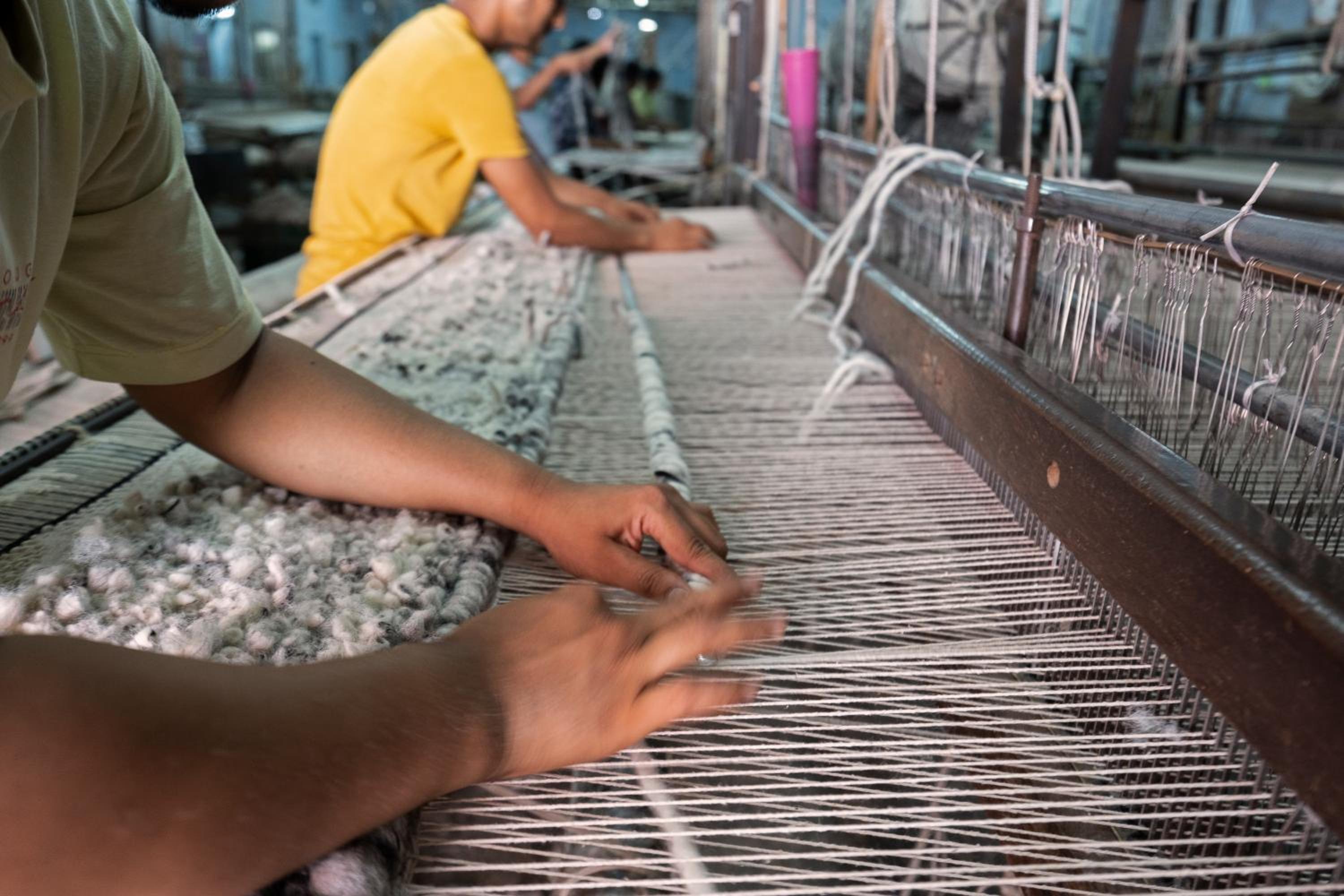 Bikaner Vacations - Gaj Kesri, Bikaner - Property Image 26