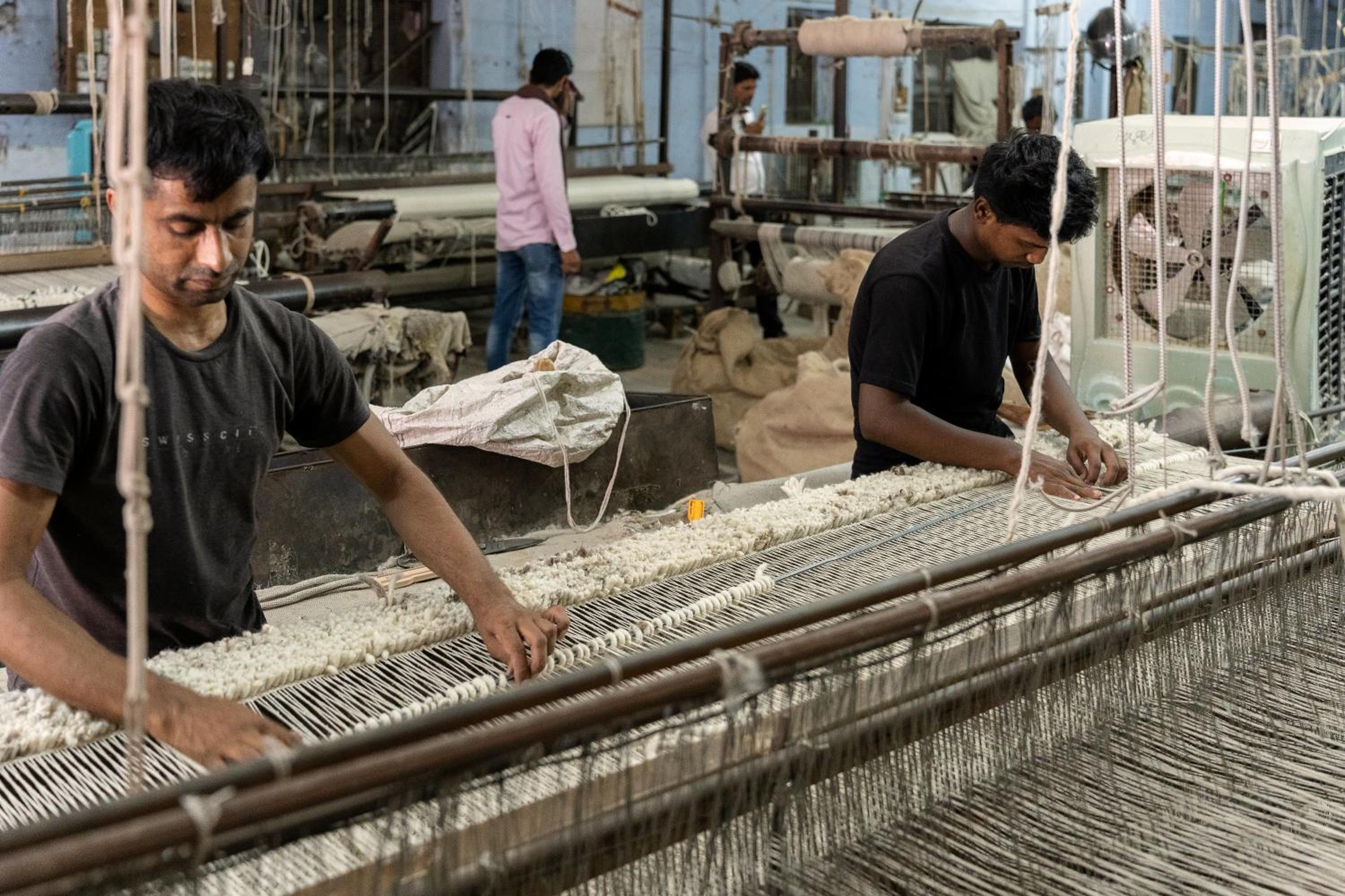 Bikaner Vacations - Gaj Kesri, Bikaner - Property Image 33