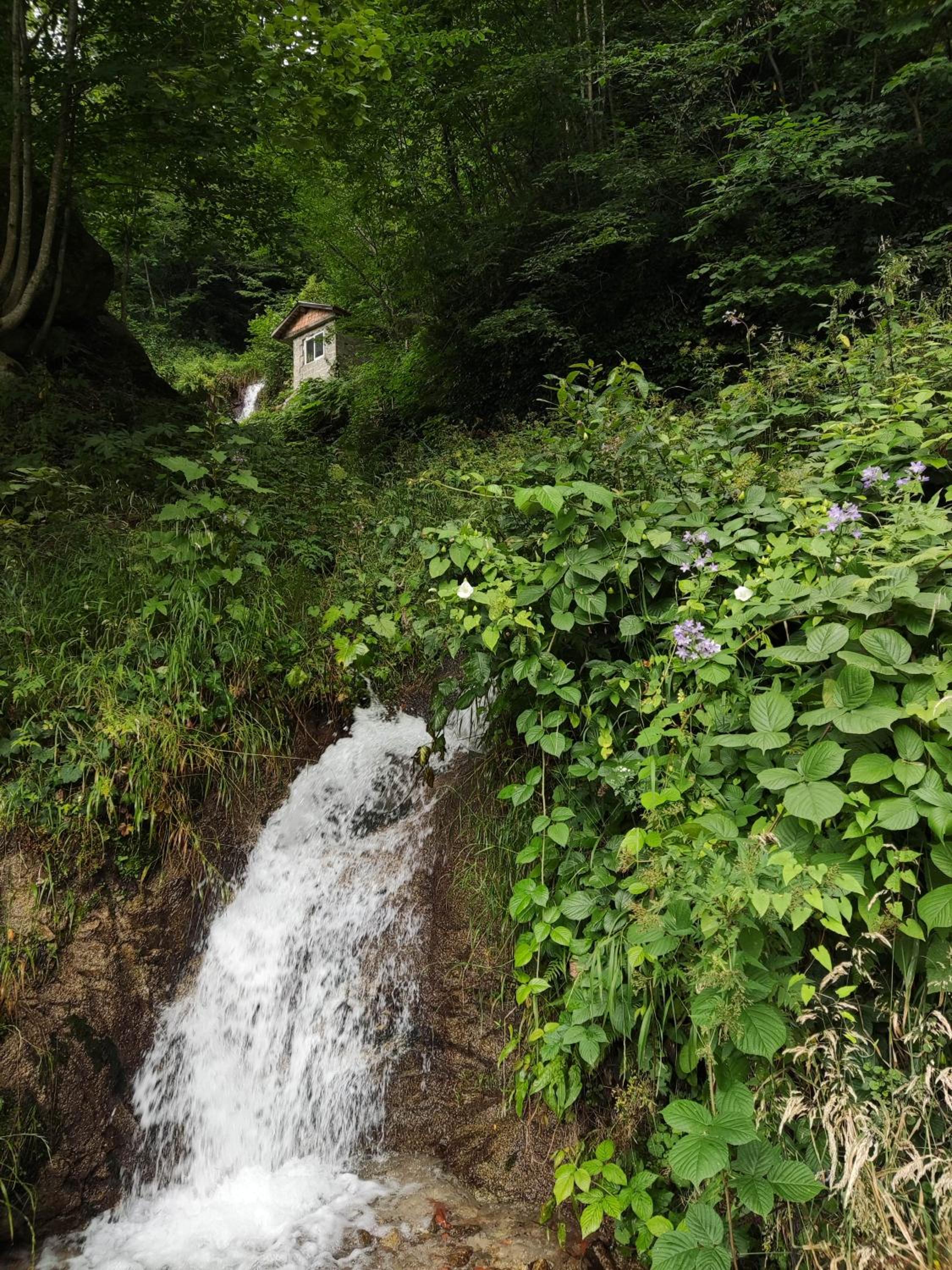 Sağlam PANSİYON view 2