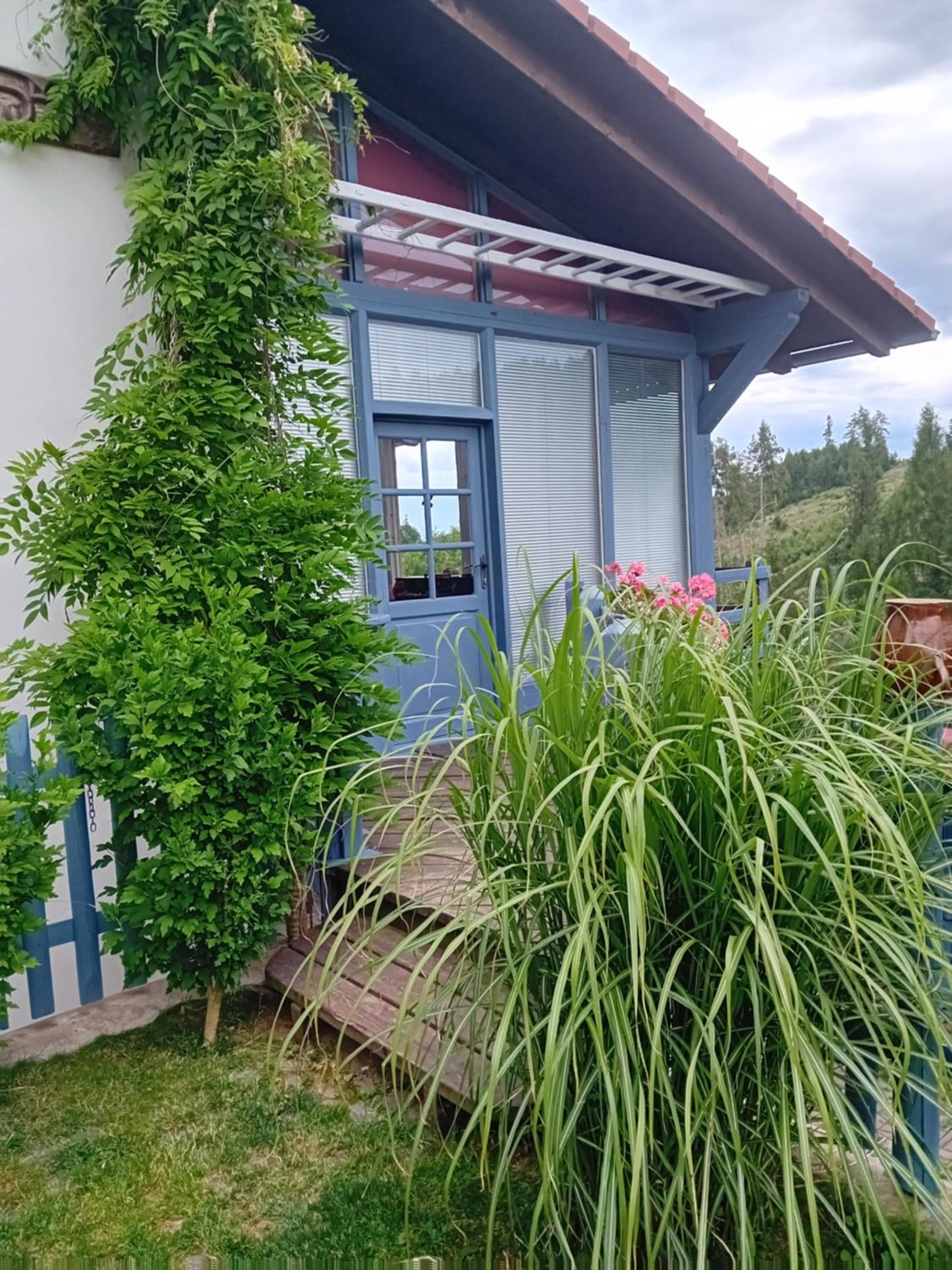 Photo 25
