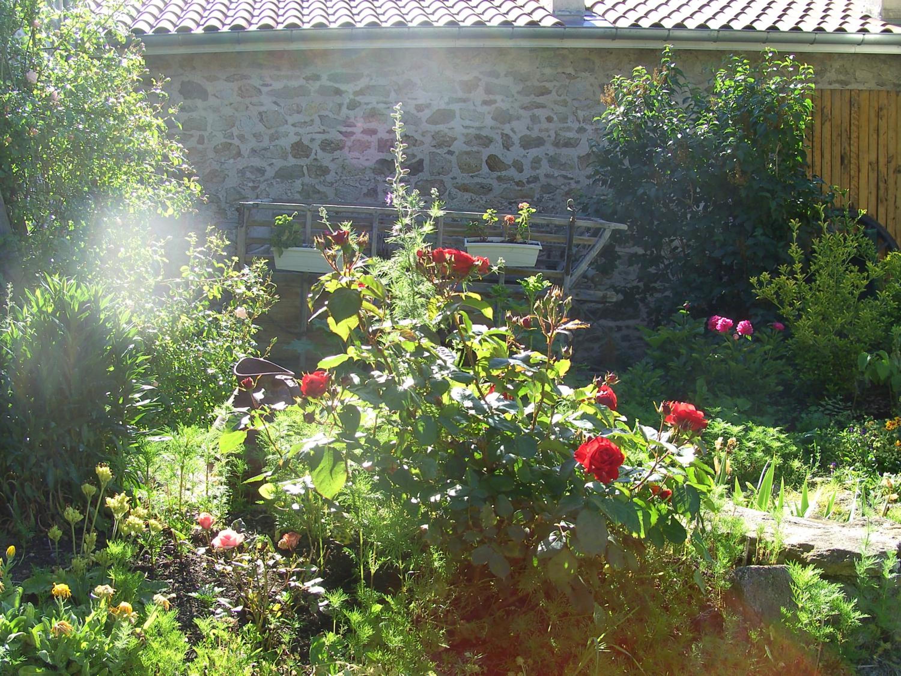 Photo 7