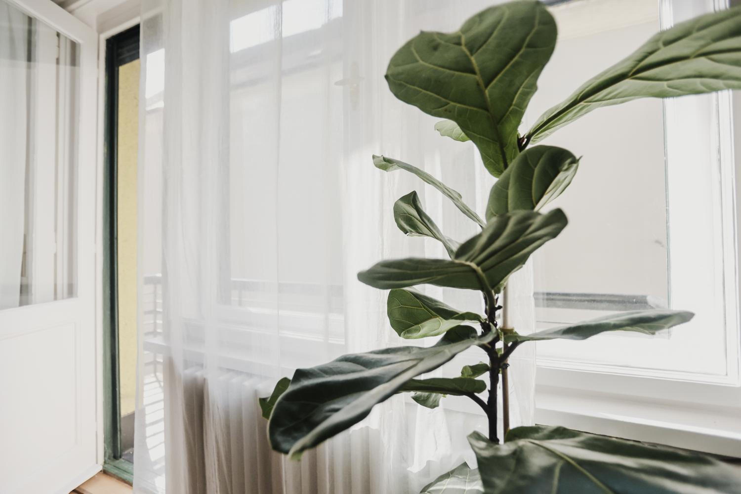 New 1BDR Modern Bauhaus flat