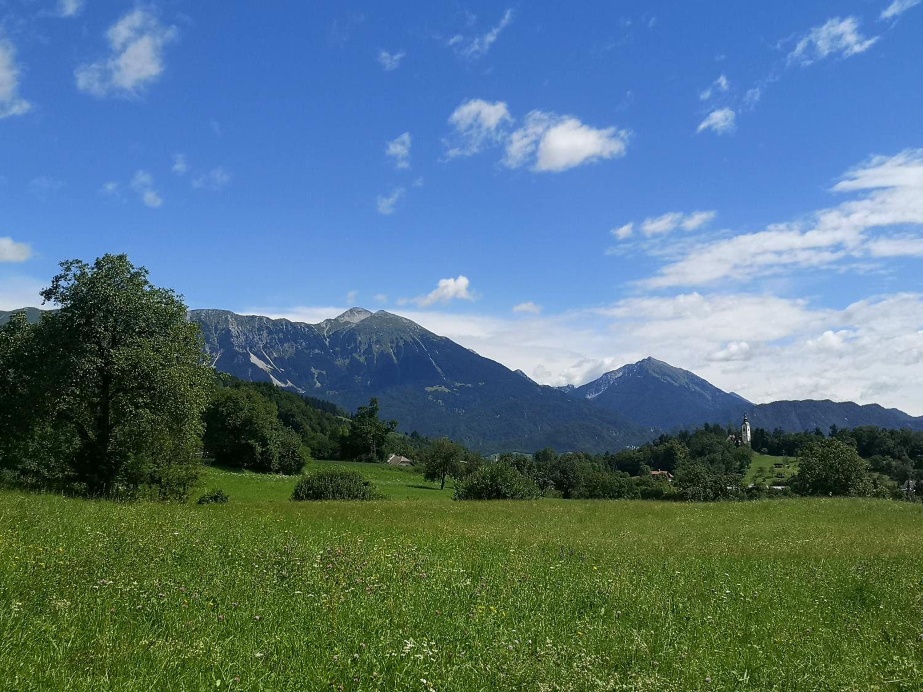 Apartmaji Volf view 2