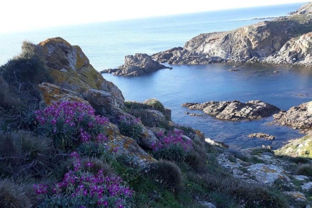 Oasi del Relax - Seaside Peaceful Panoramic Terrace in ITALY - new Sardinia apartment 50 mt beach&sea full comfort air conditioning-WiFi-Parking-Privacy