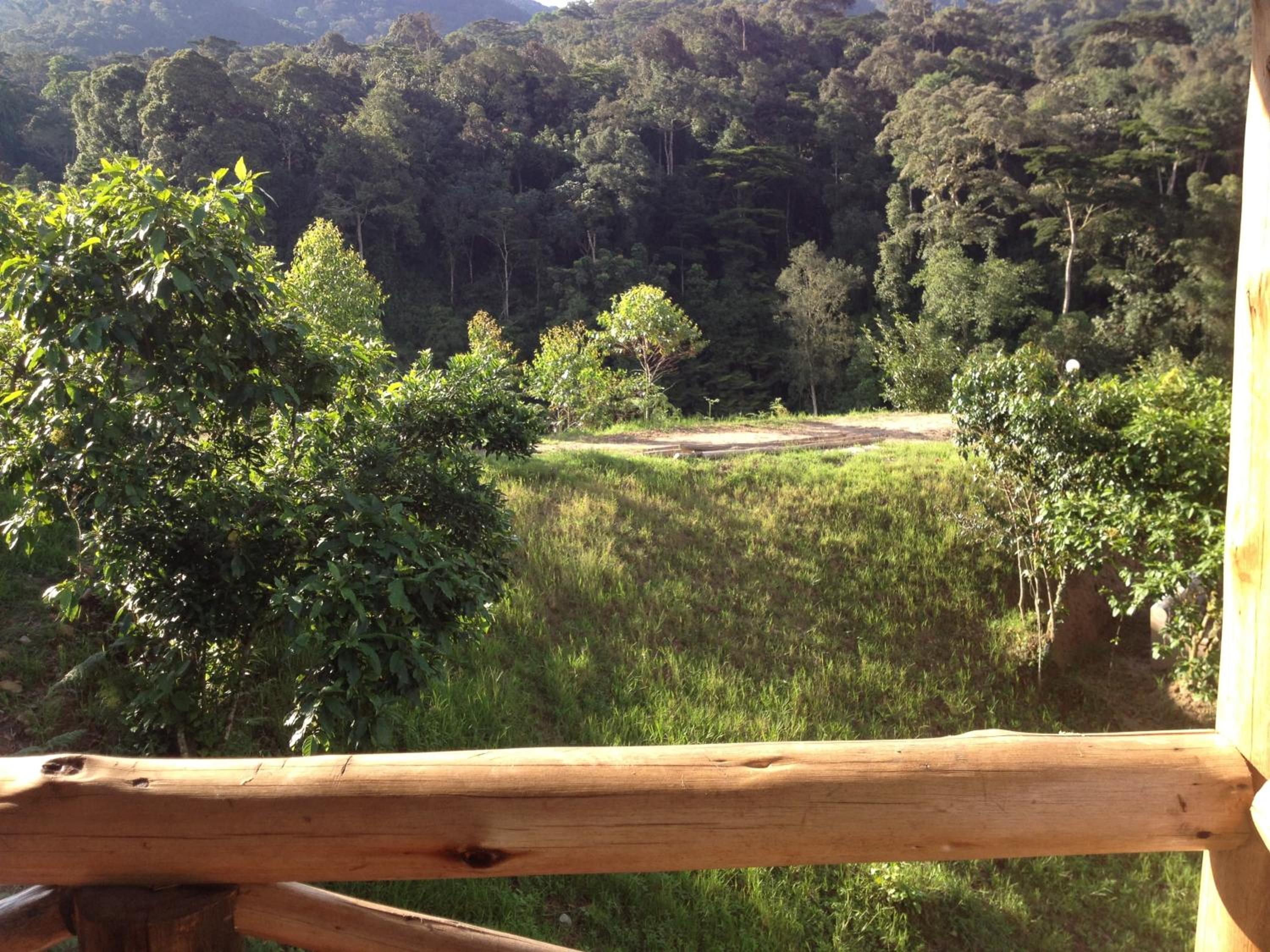 Rushaga Gorilla Lodge