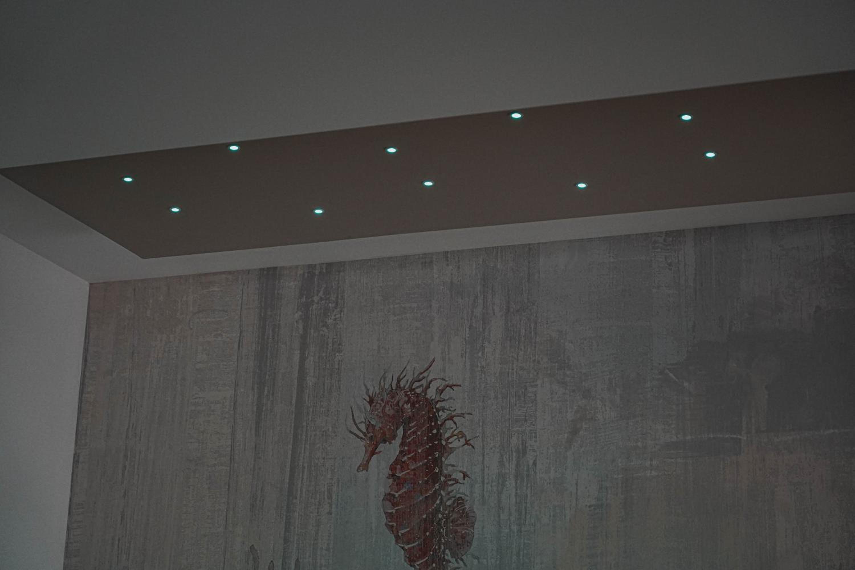 Photo 44