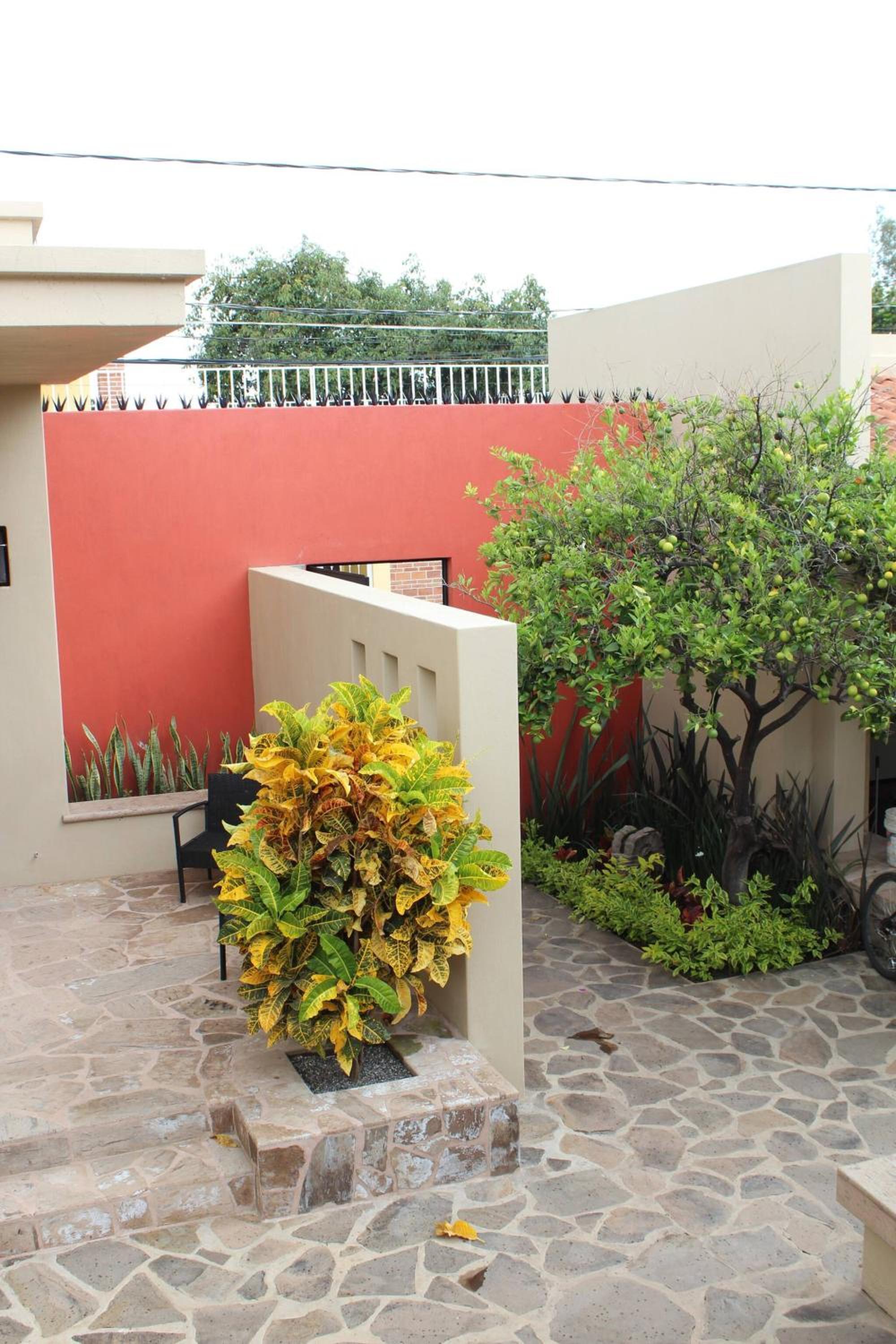 Photo 6