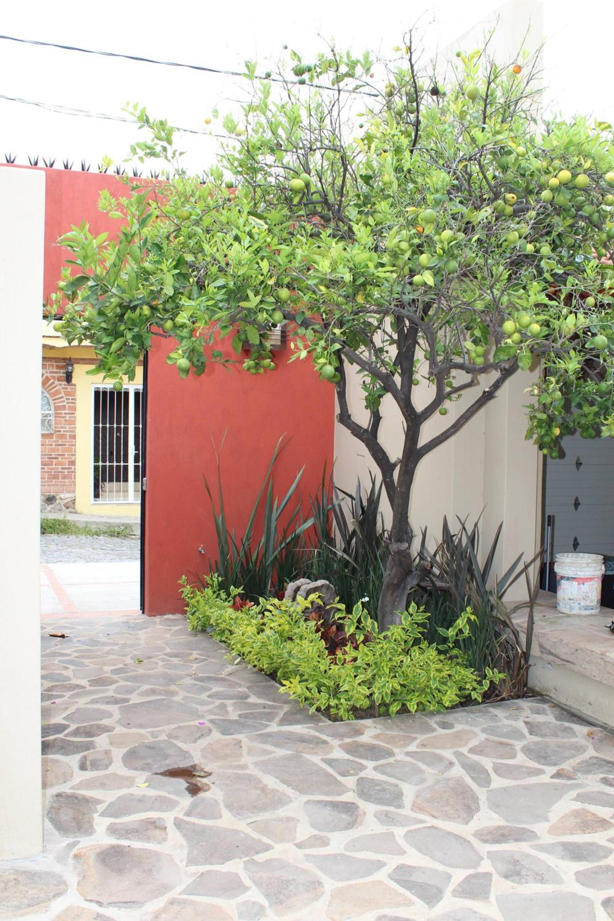 Ajijic 2 Bedroom Retreat -Modern Centrally Located -Bikes -Gym -Pickleball Court view 4