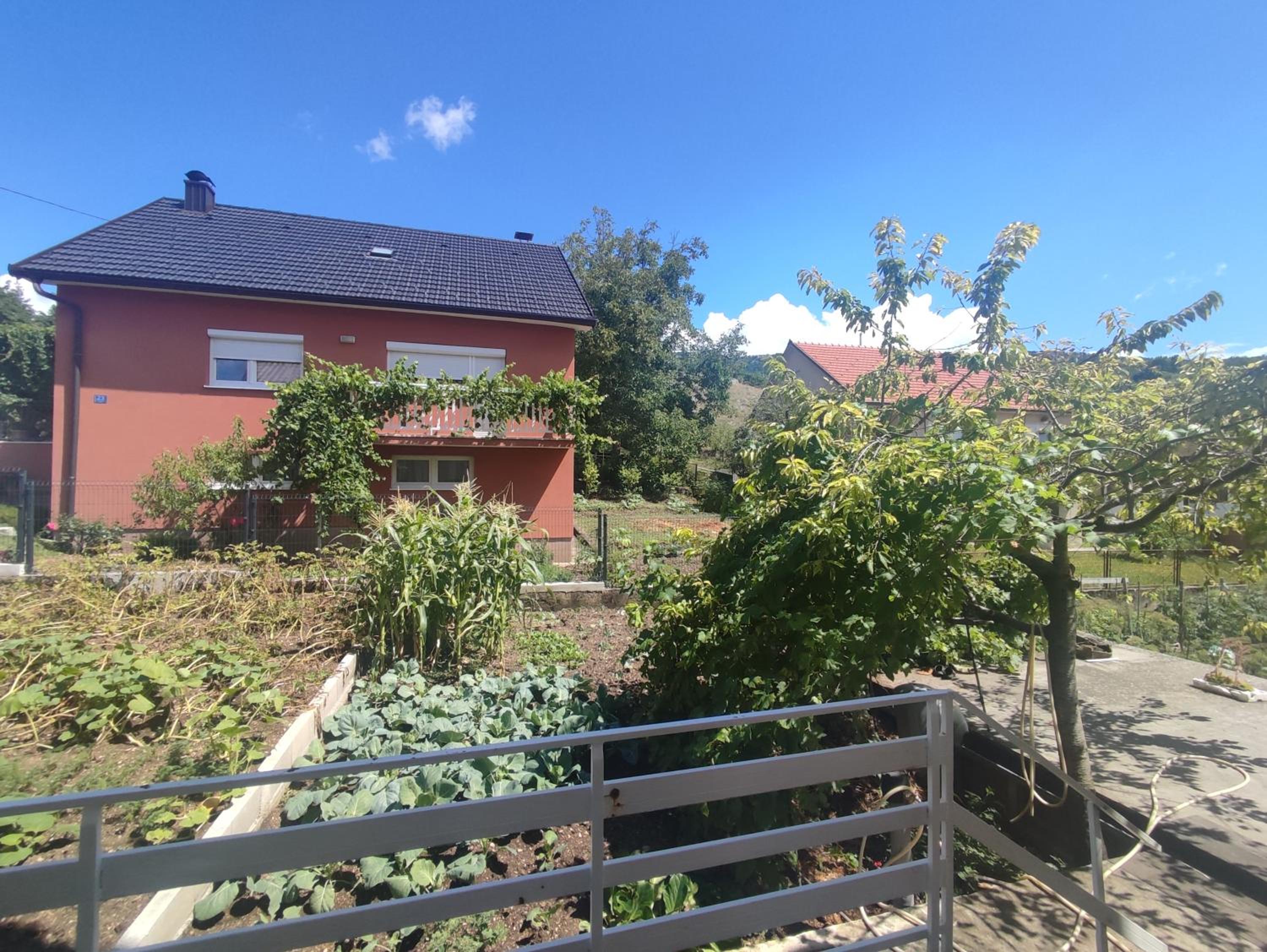 Apartman Bor