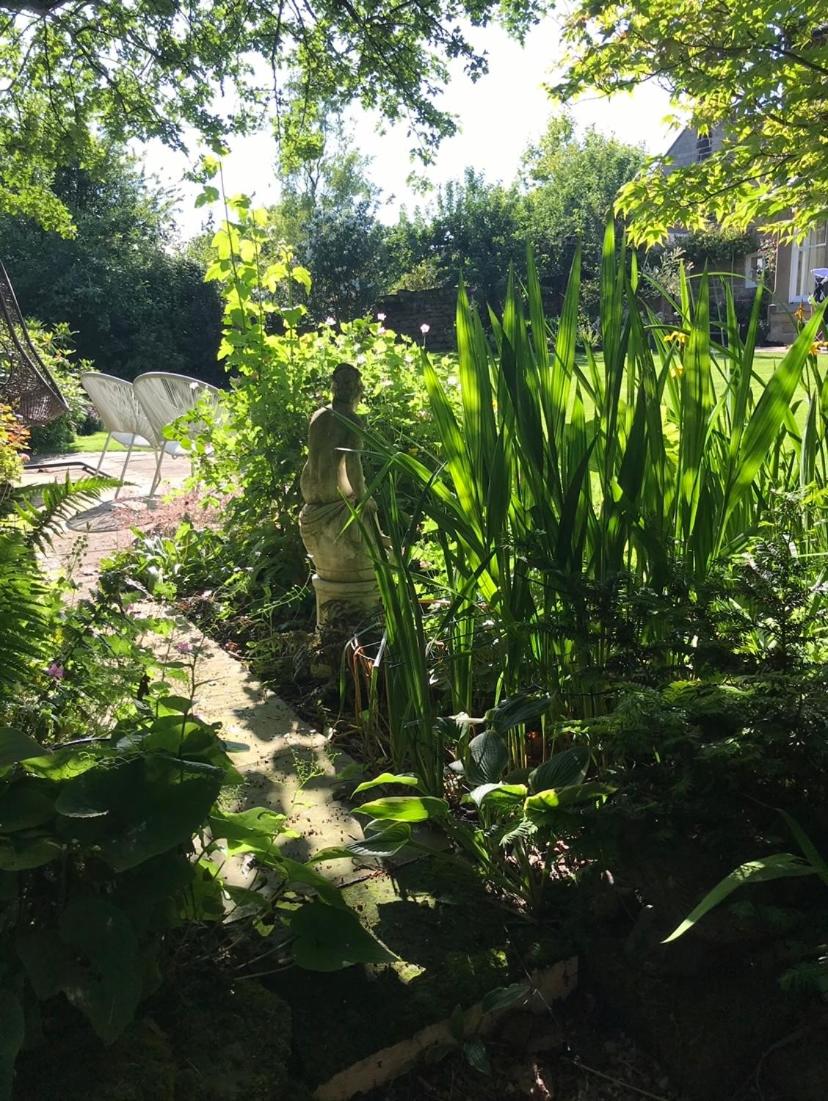 Photo 36