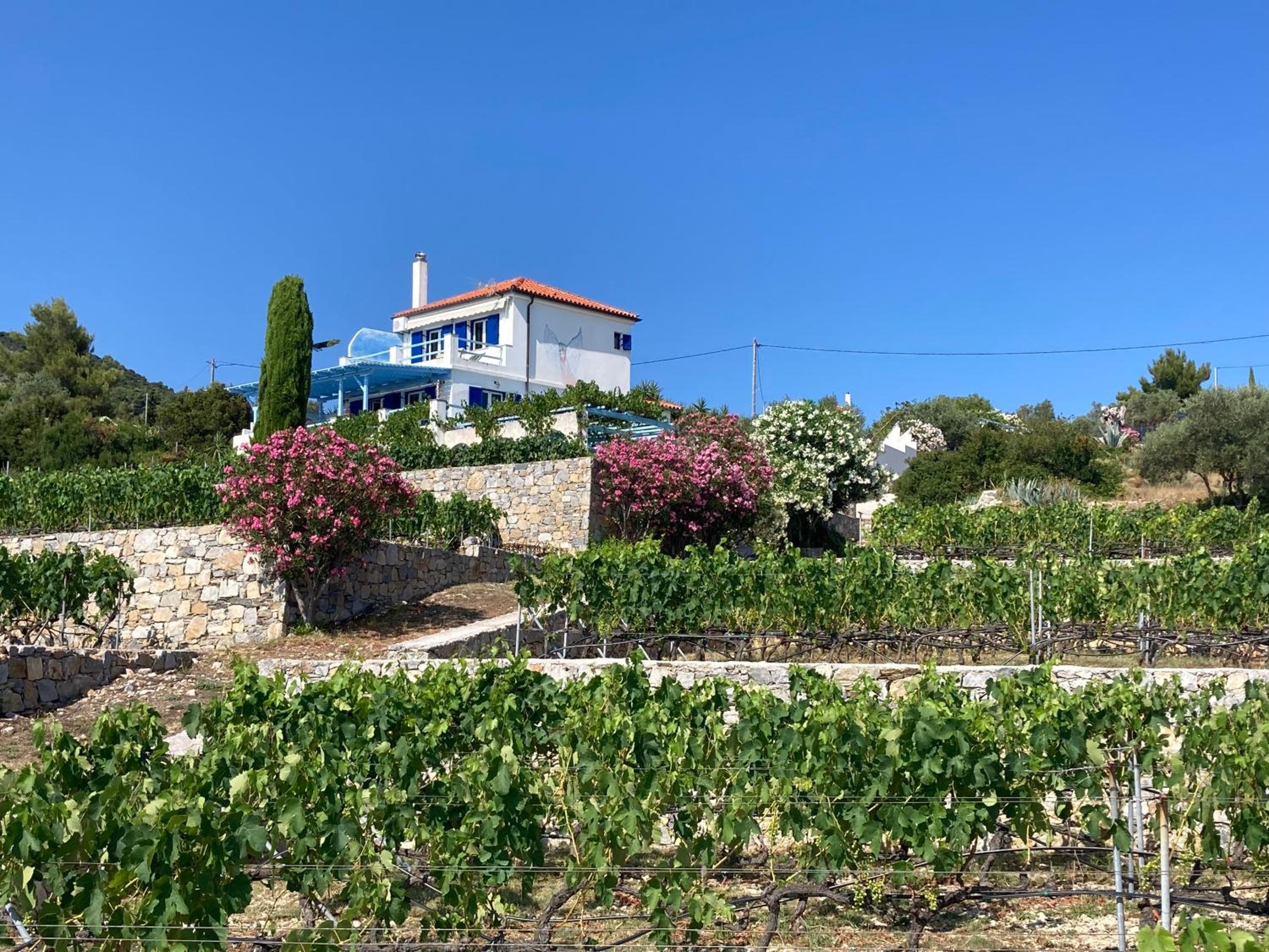 VILLA AZUL