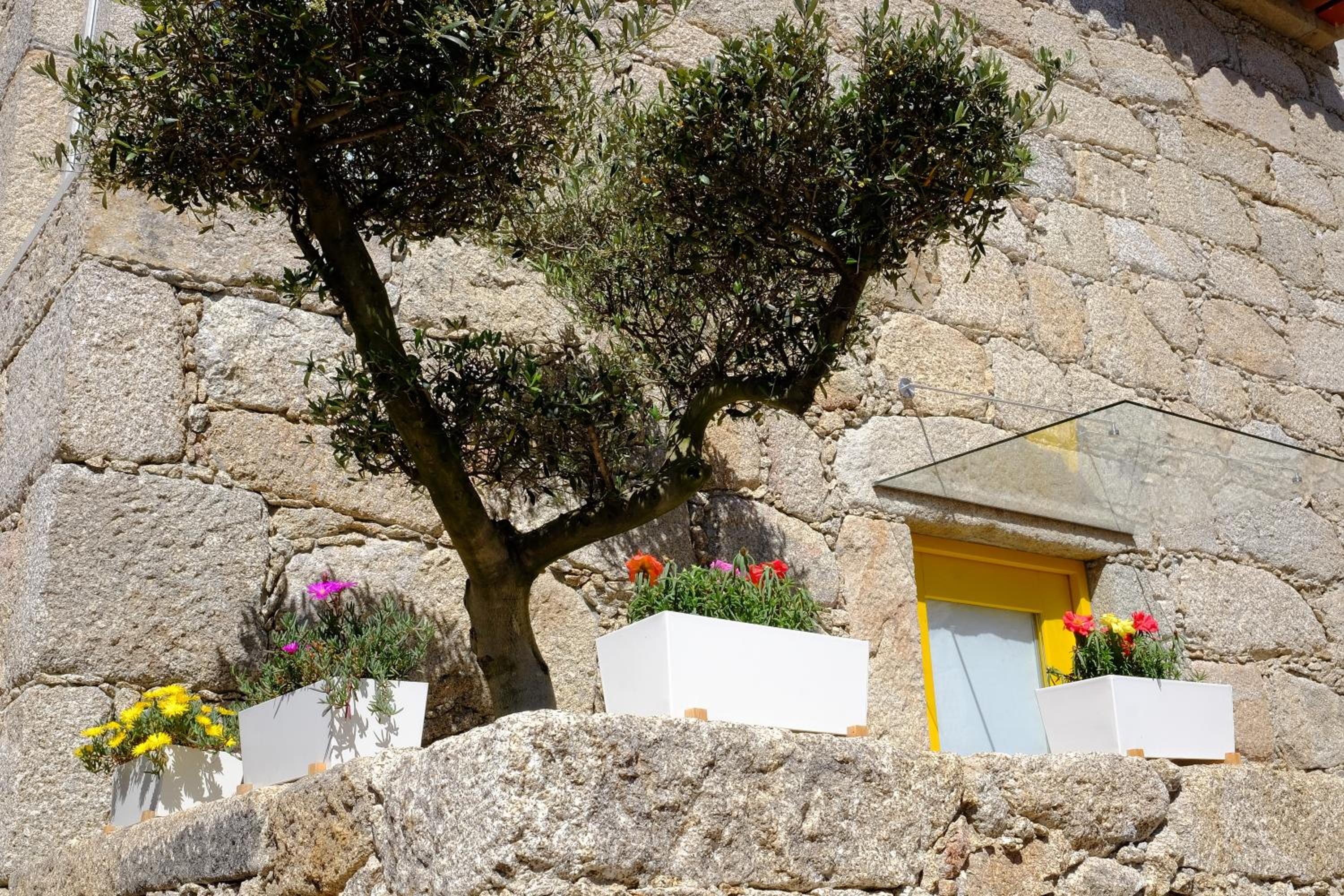 RH Casas de Campo Design