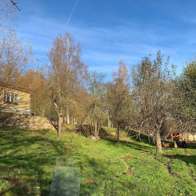Cottage Knezice