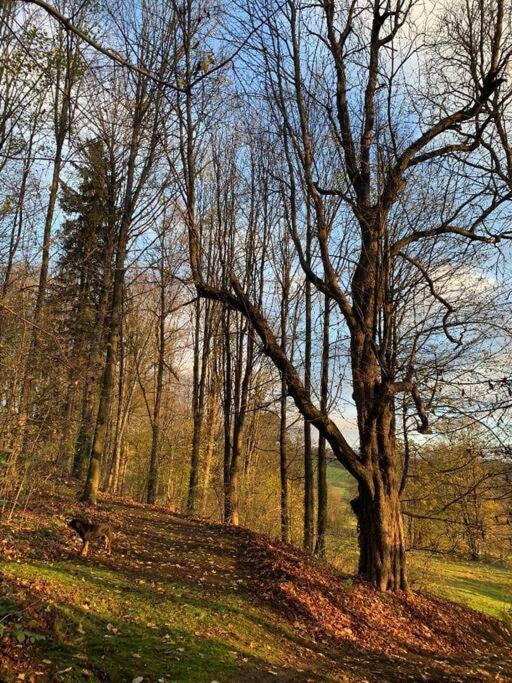Cottage Knezice