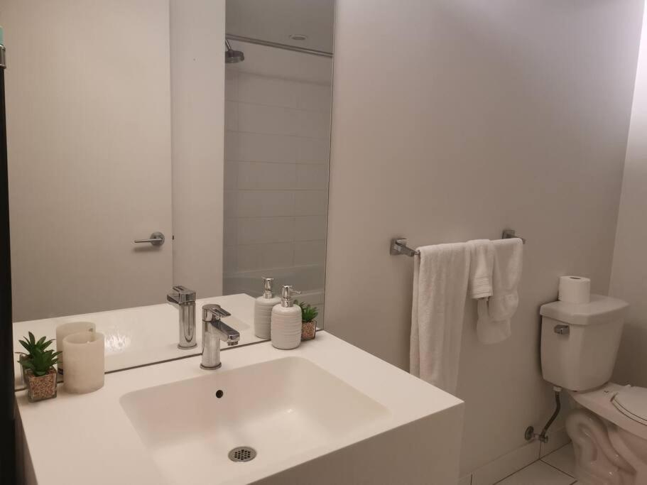 Downtown Toronto Condo Suite