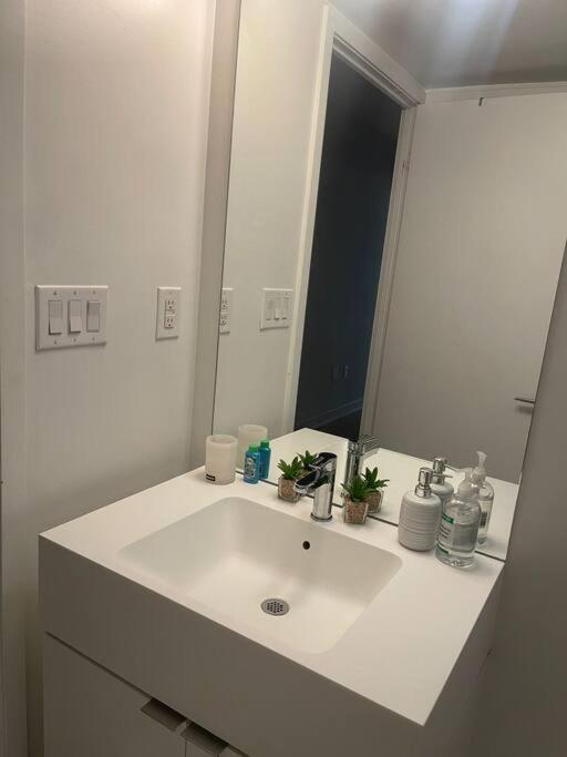Downtown Toronto Condo Suite