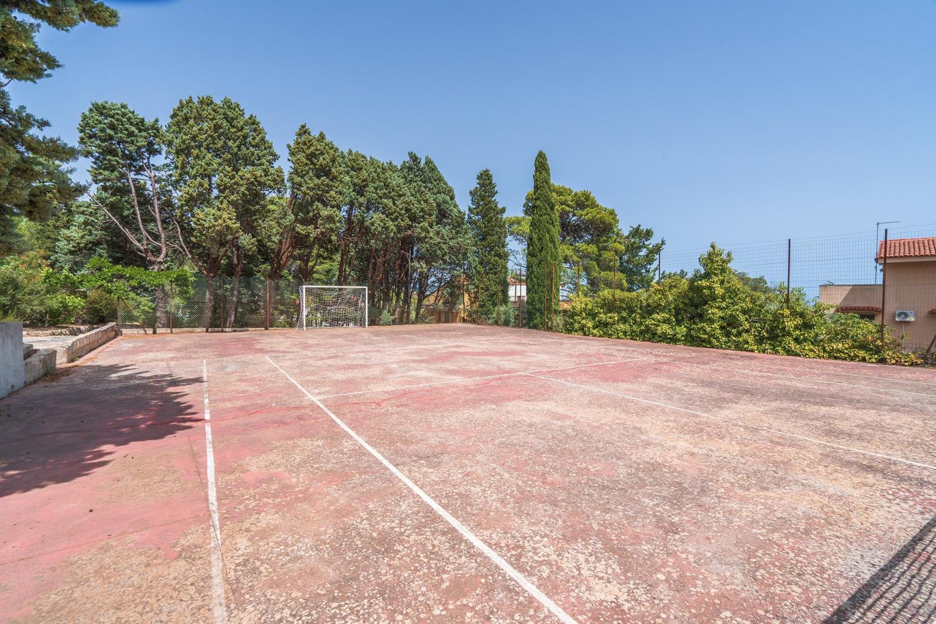 Gli Ulivi