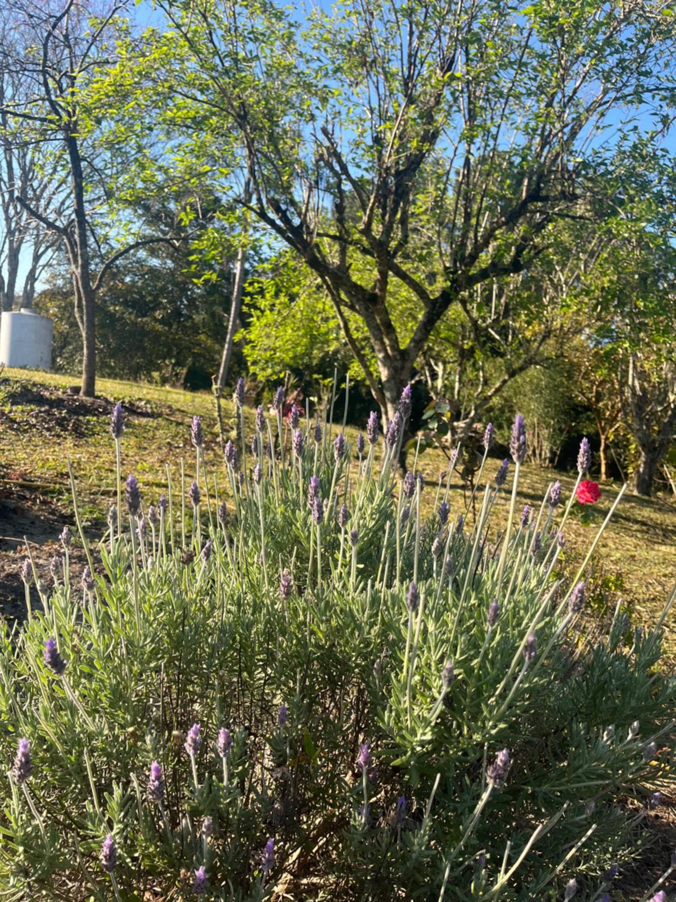 Espaço Benviver