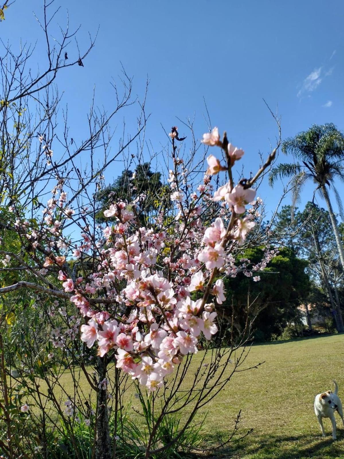 Espaço Benviver