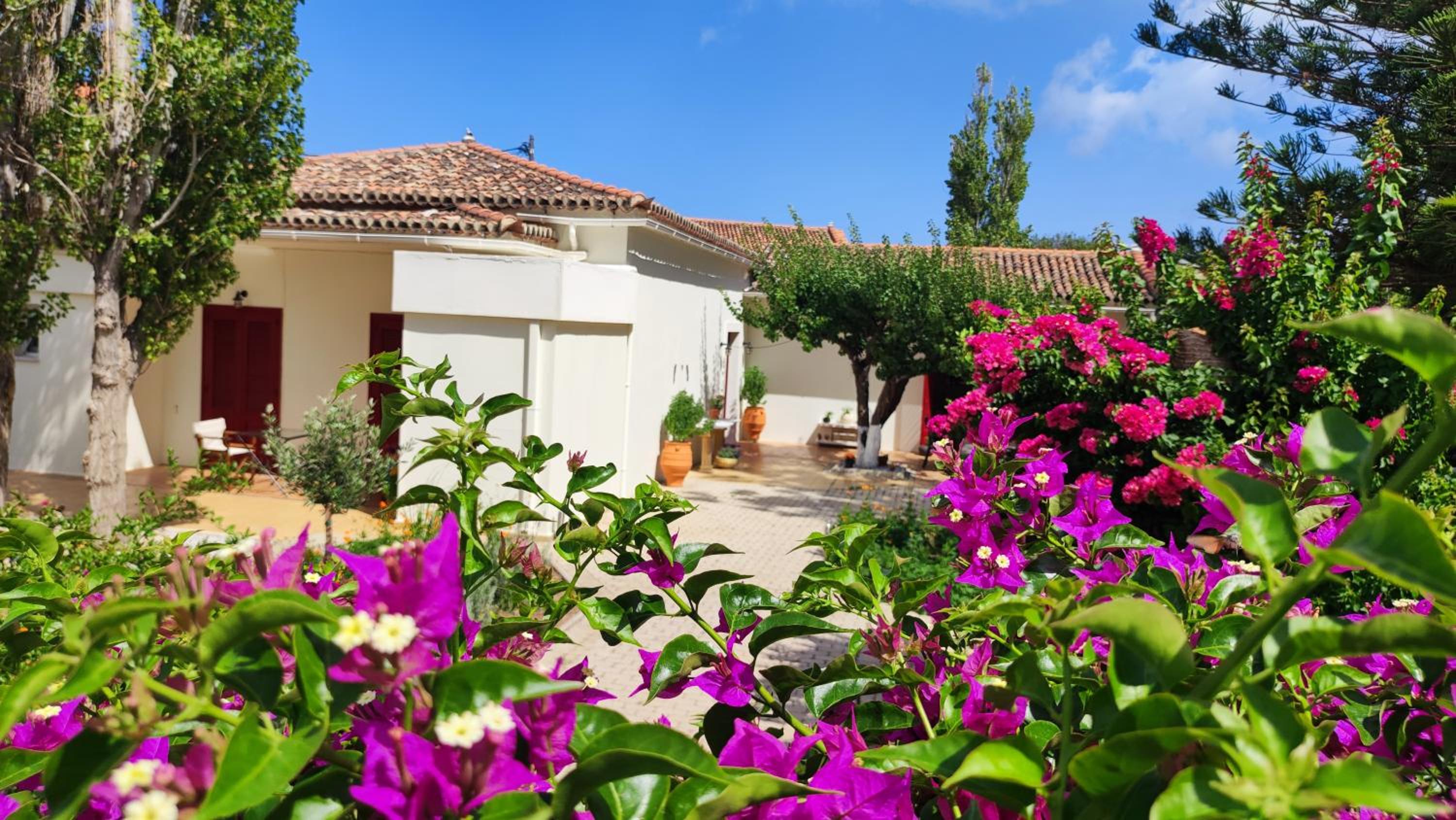 Mediterranean house with beautiful garden