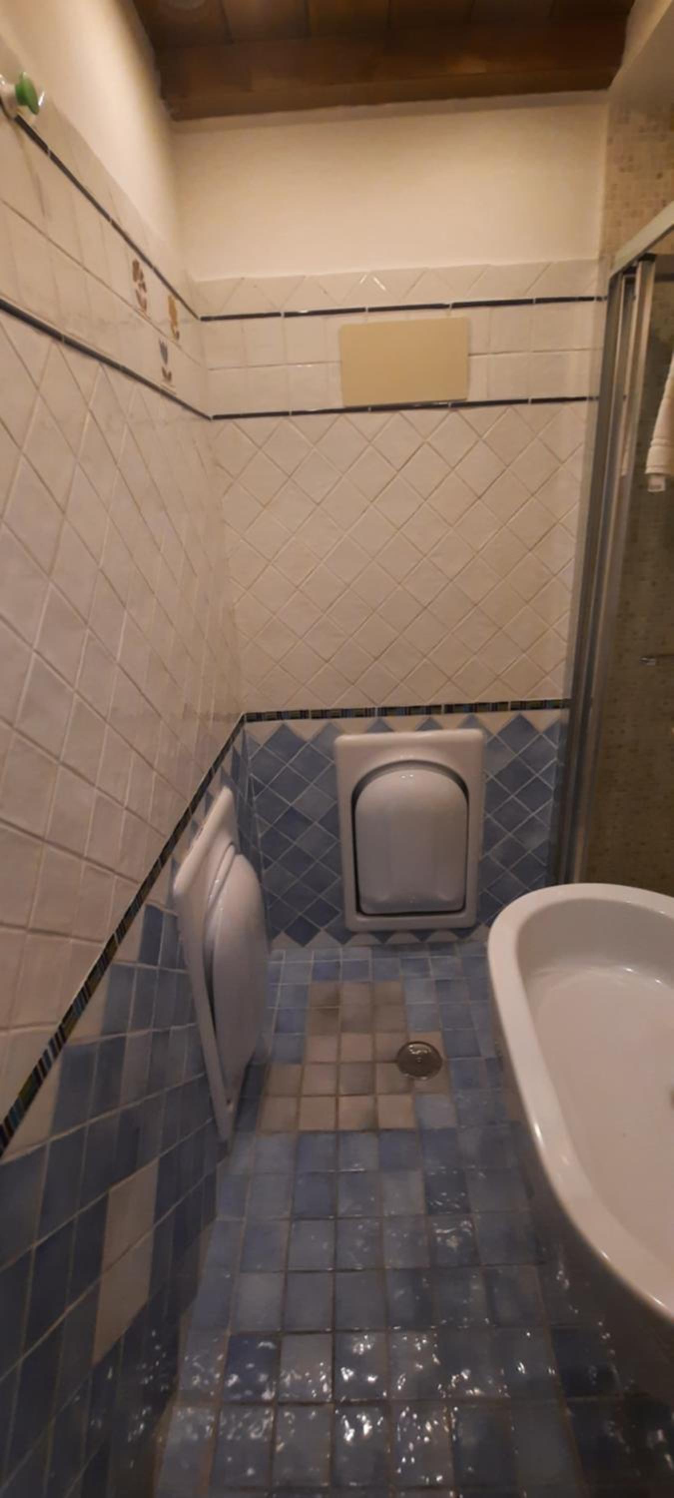 Oasi