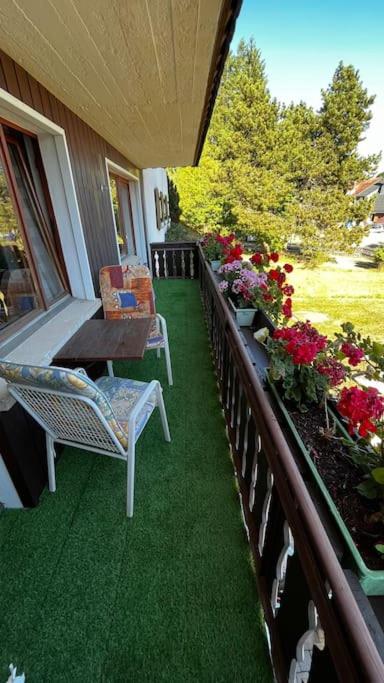 Pension Schmidt - Schwarzwaldnest - voll ausgestattetes Apartment