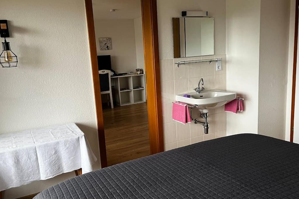 Pension Schmidt - Schwarzwaldnest - voll ausgestattetes Apartment