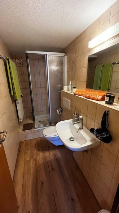 Pension Schmidt - Schwarzwaldnest - voll ausgestattetes Apartment