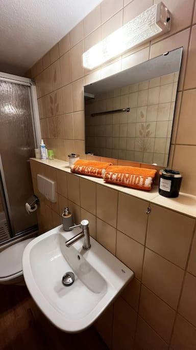 Pension Schmidt - Schwarzwaldnest - voll ausgestattetes Apartment