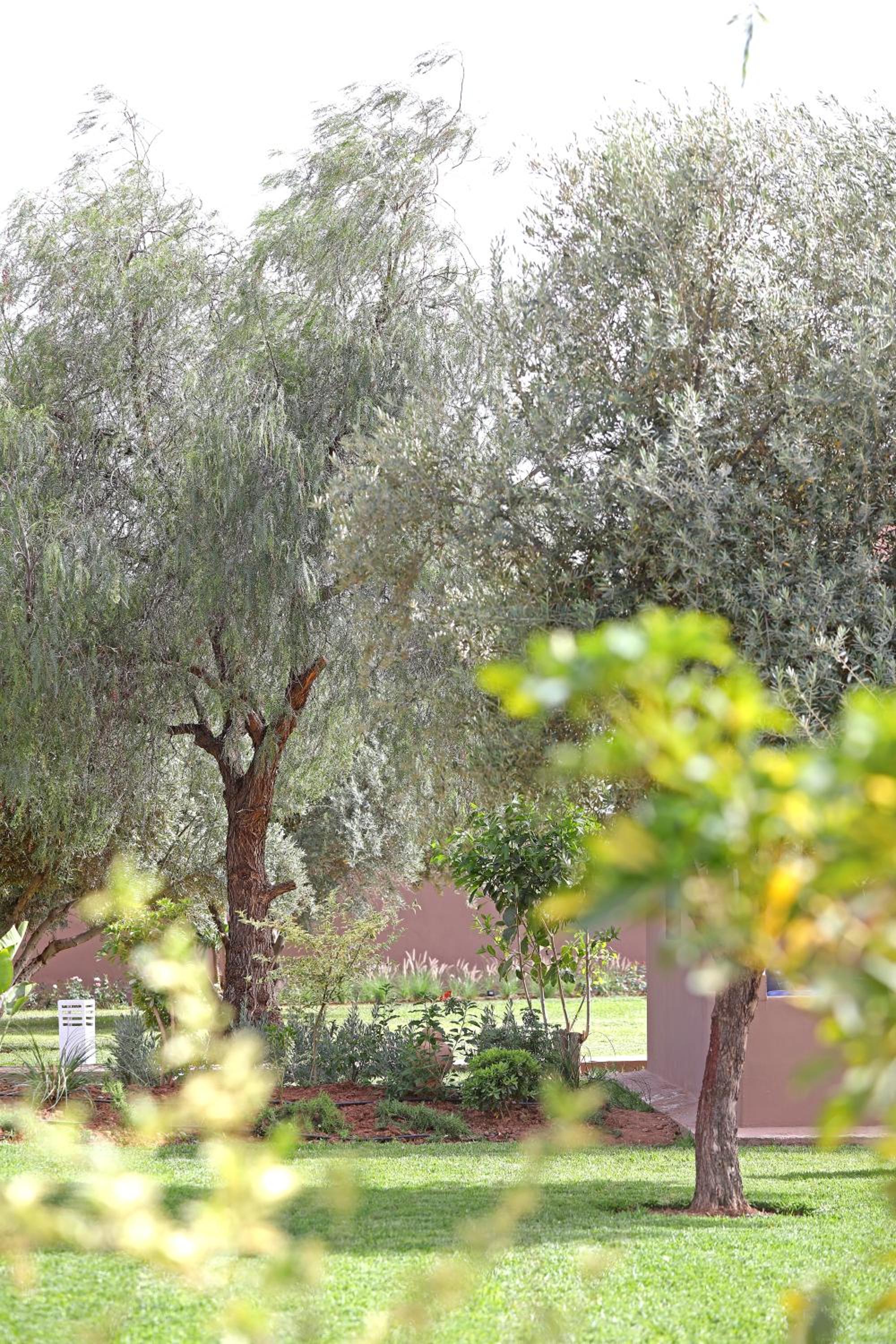 DOMAINE DU DOUAR