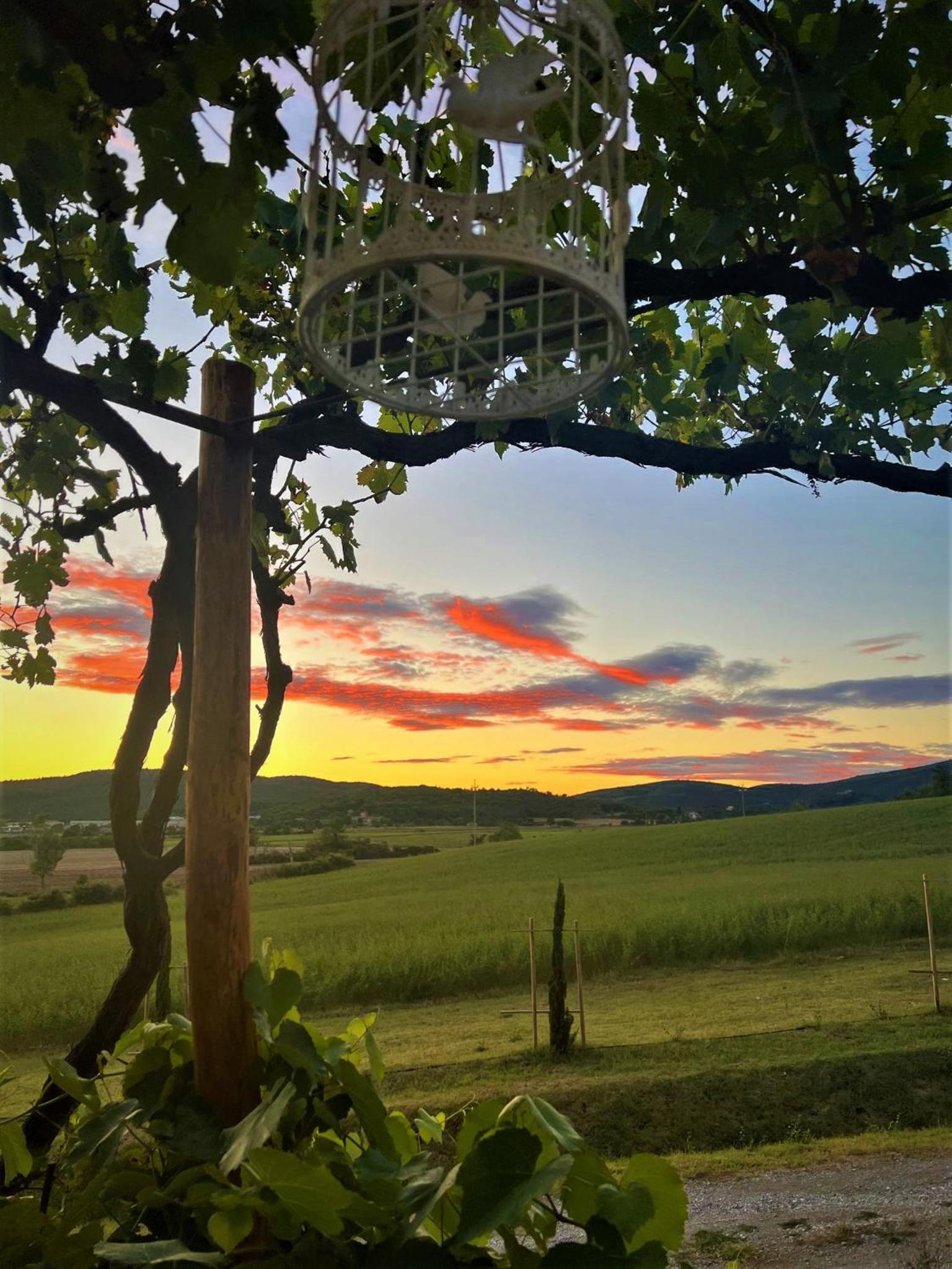 Podere La Selva